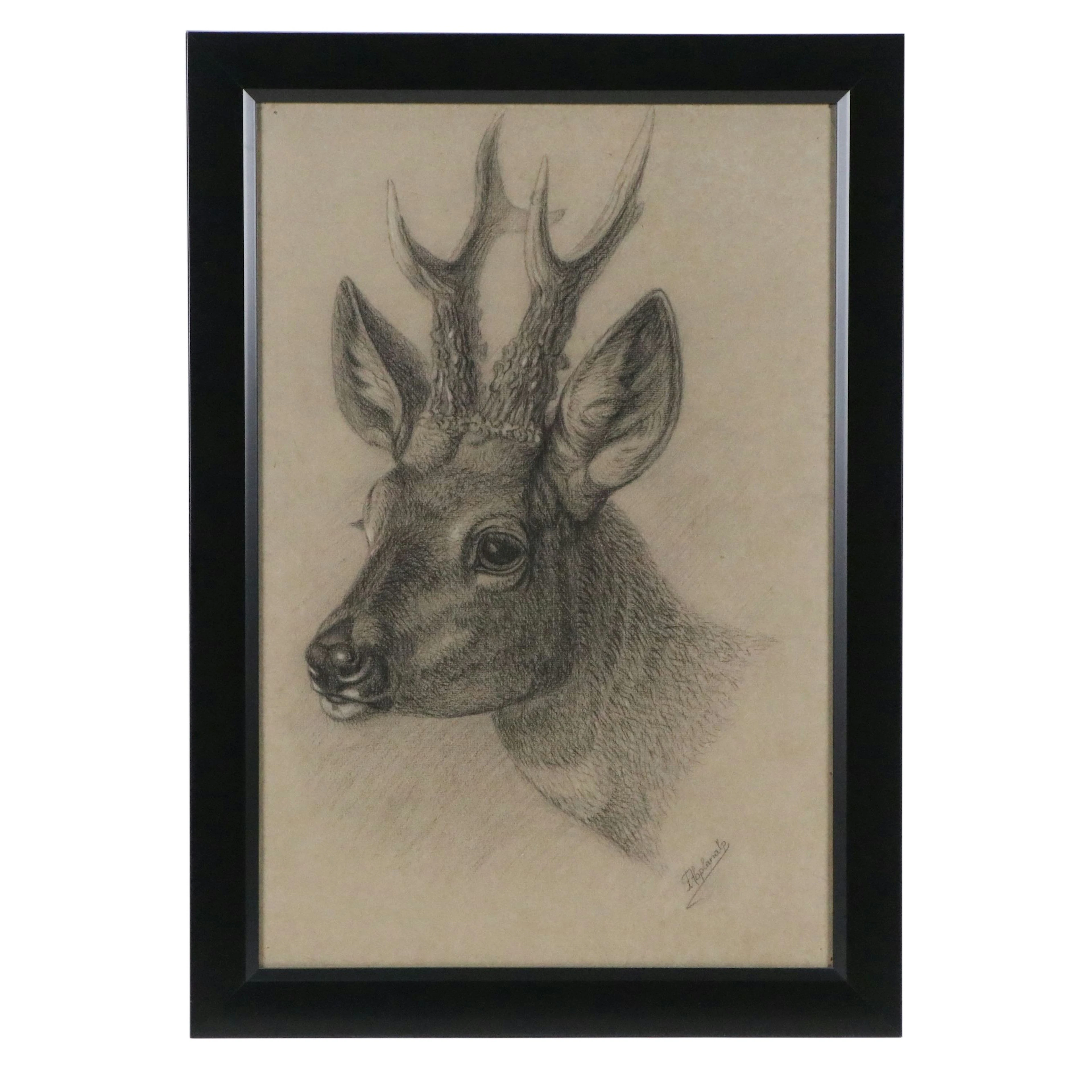 F. Abplanalp Charcoal Drawing of Deer, Late 20th Century