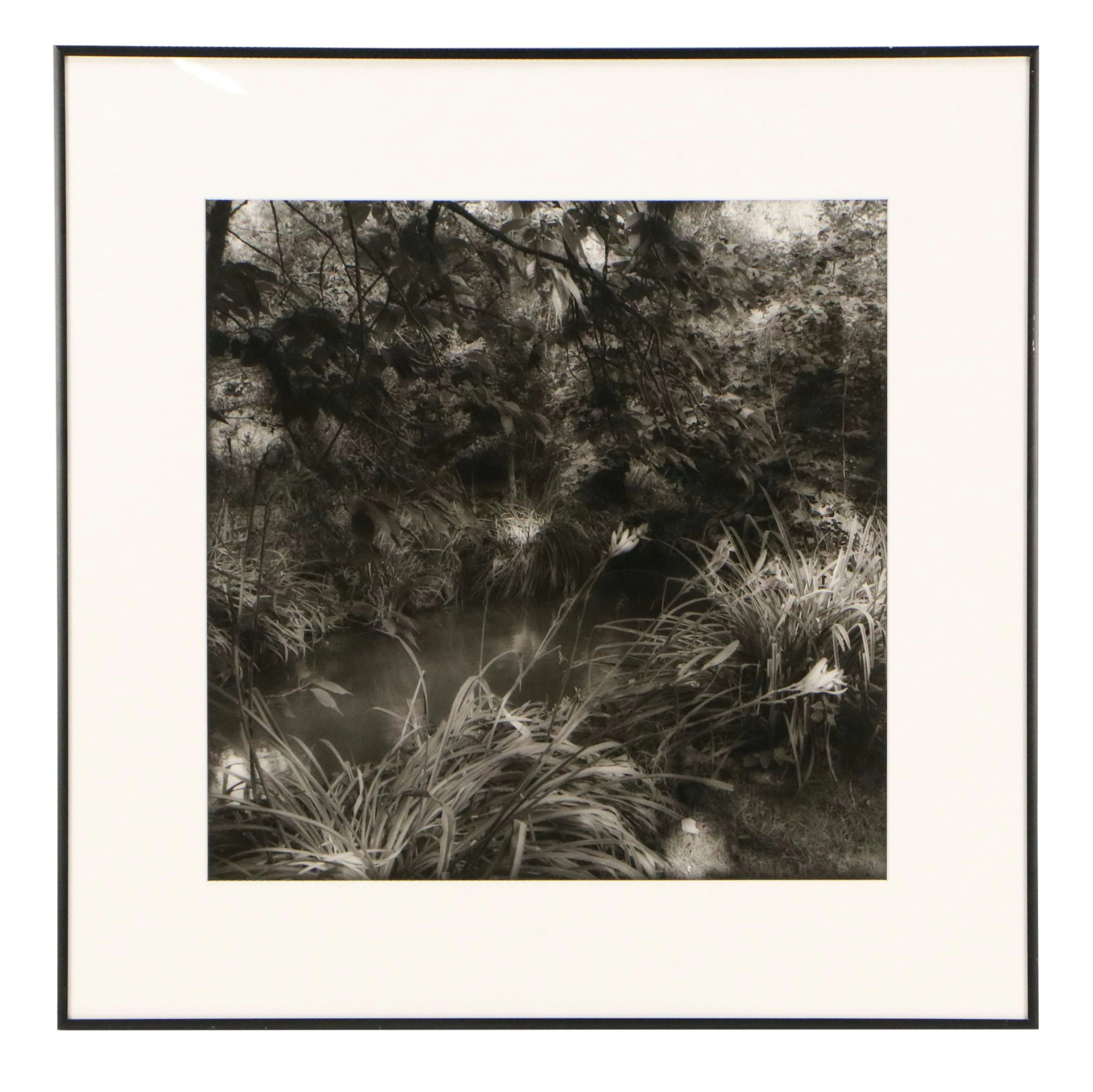Silver Print Photograph of Forest Creek, 21st Century