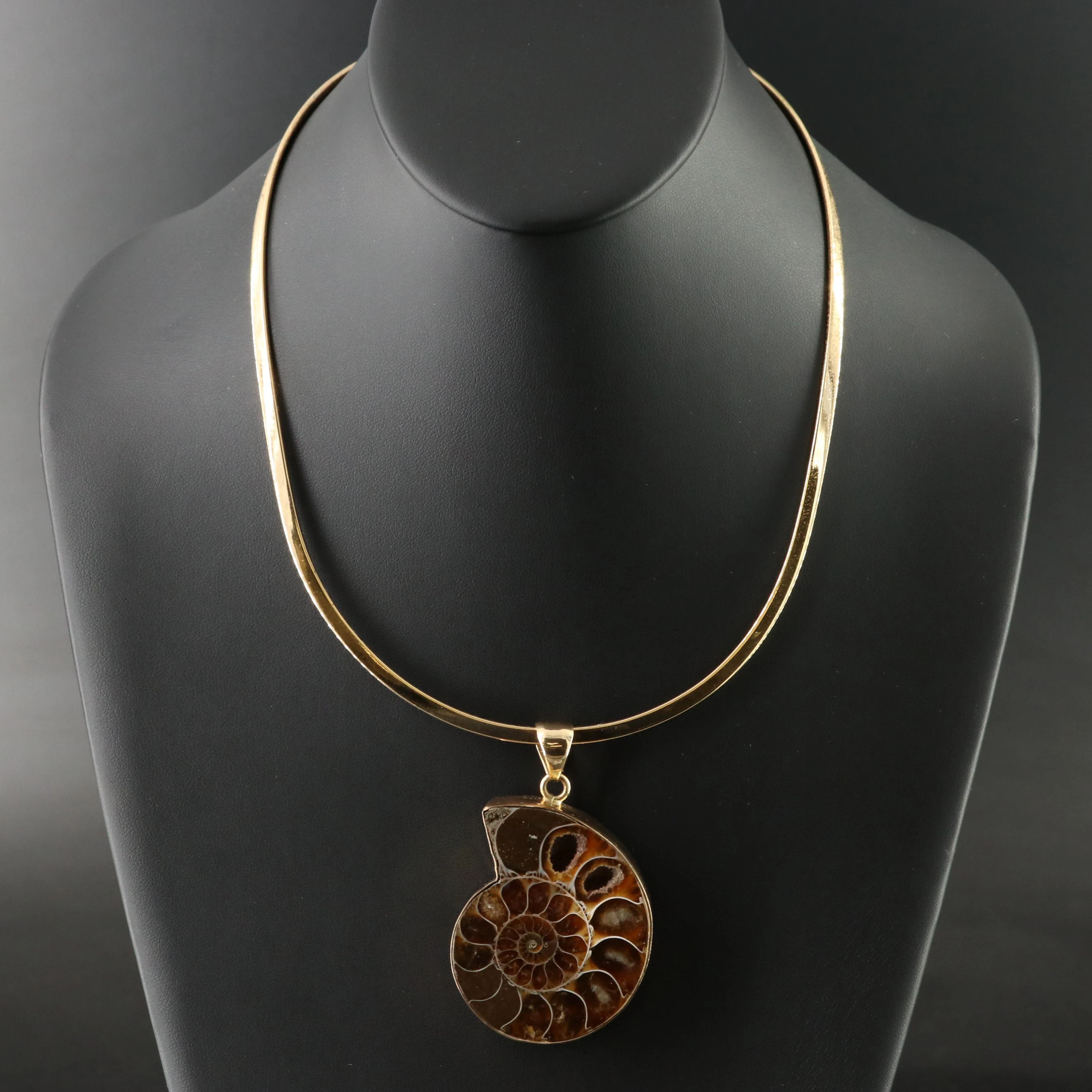 Charles Albert Ammonite Pendant on Collar Necklace