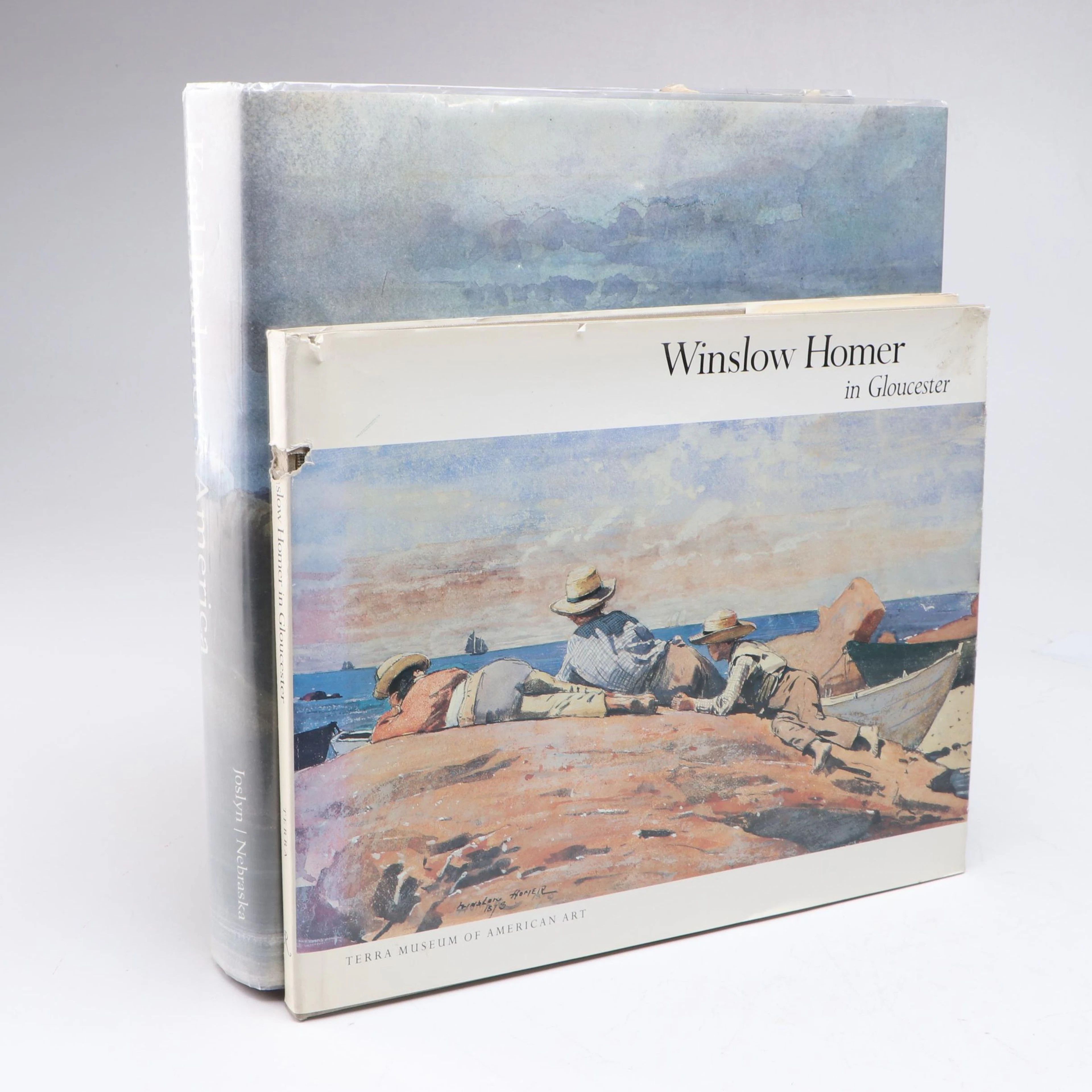 "Winslow Homer in Gloucester" and "Karl Bodmer's America" Art History Books