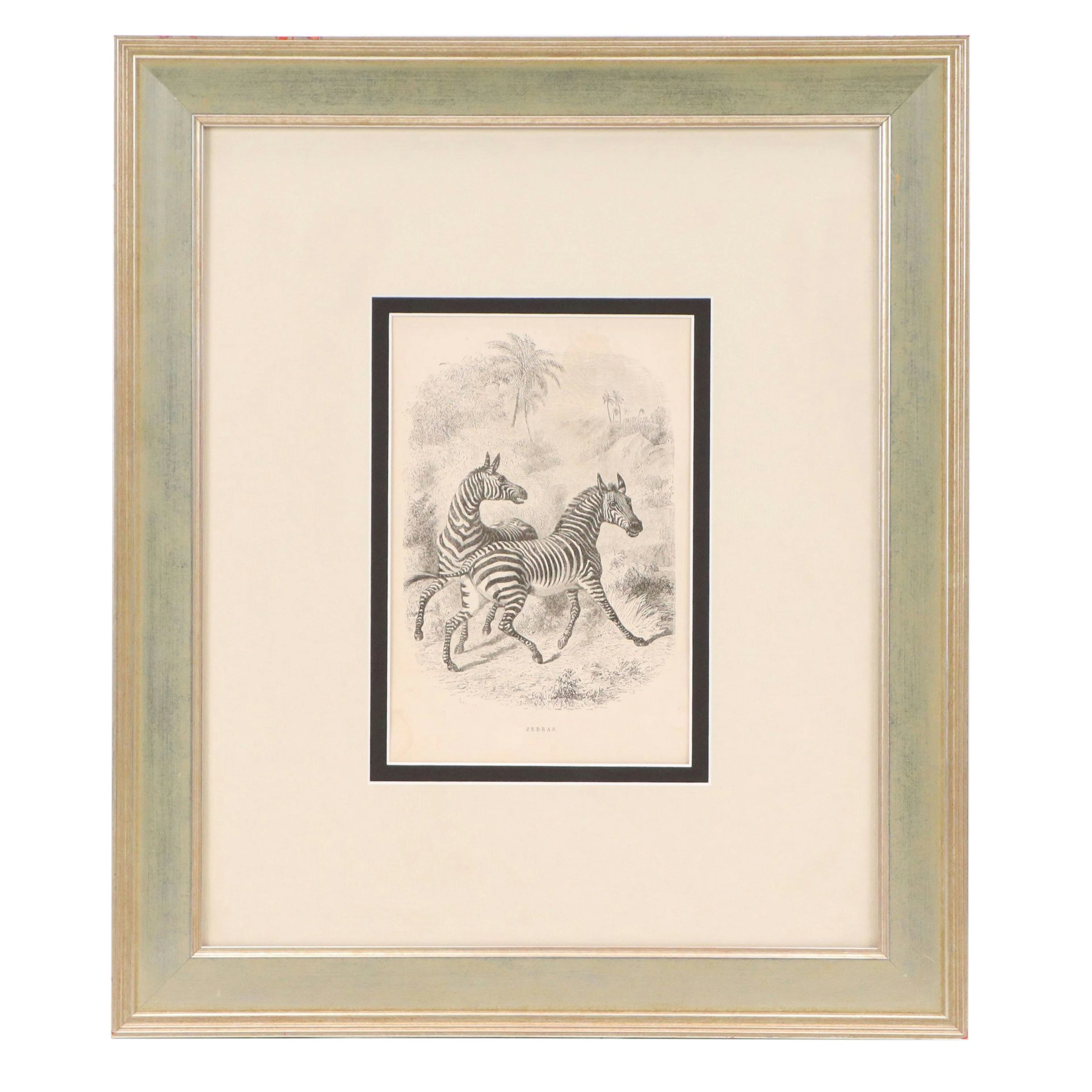 After Paul Gervais Lithograph "Zebras," Early 20th Century