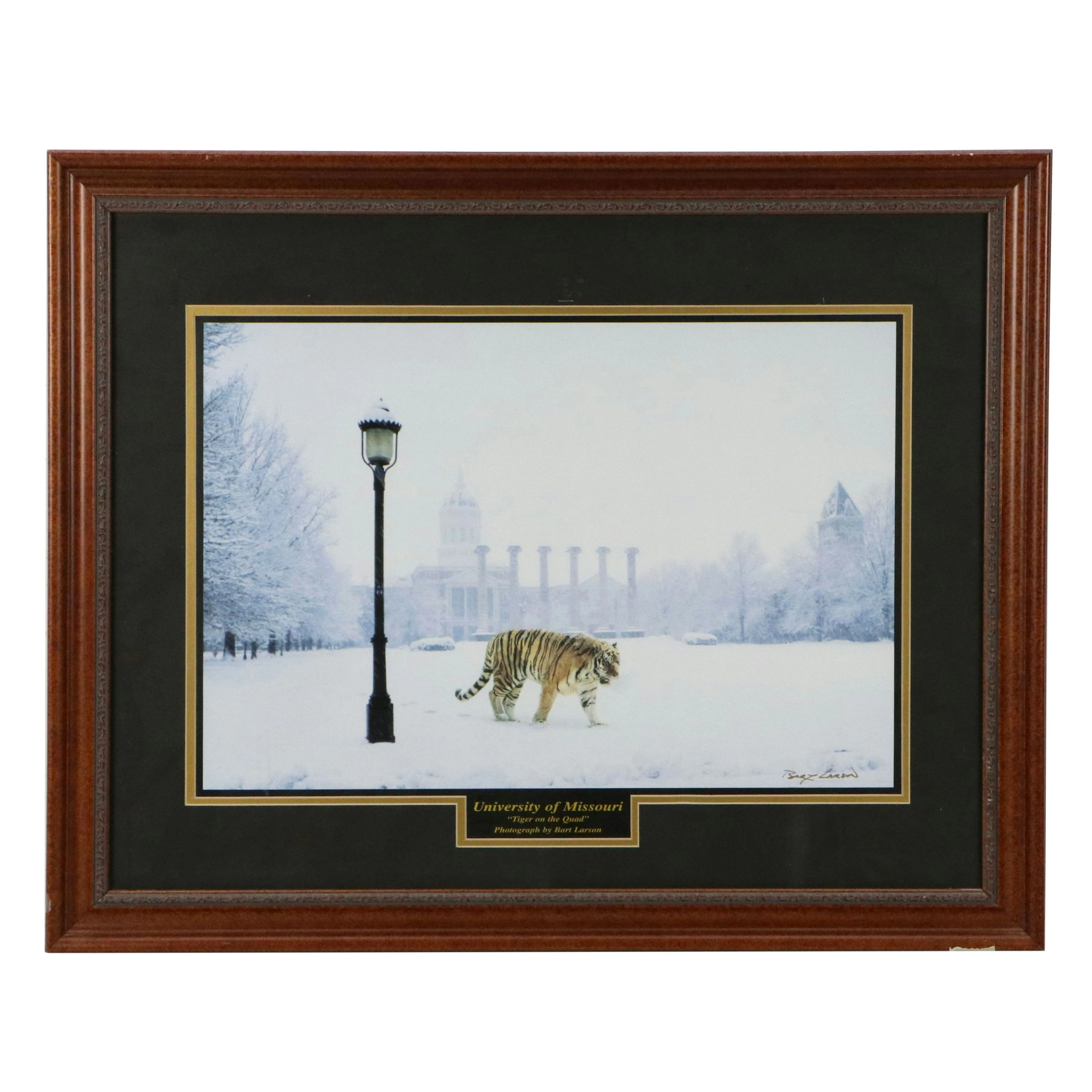 Bart Larson Offset Lithograph "Tiger on the Quad," 21st Century