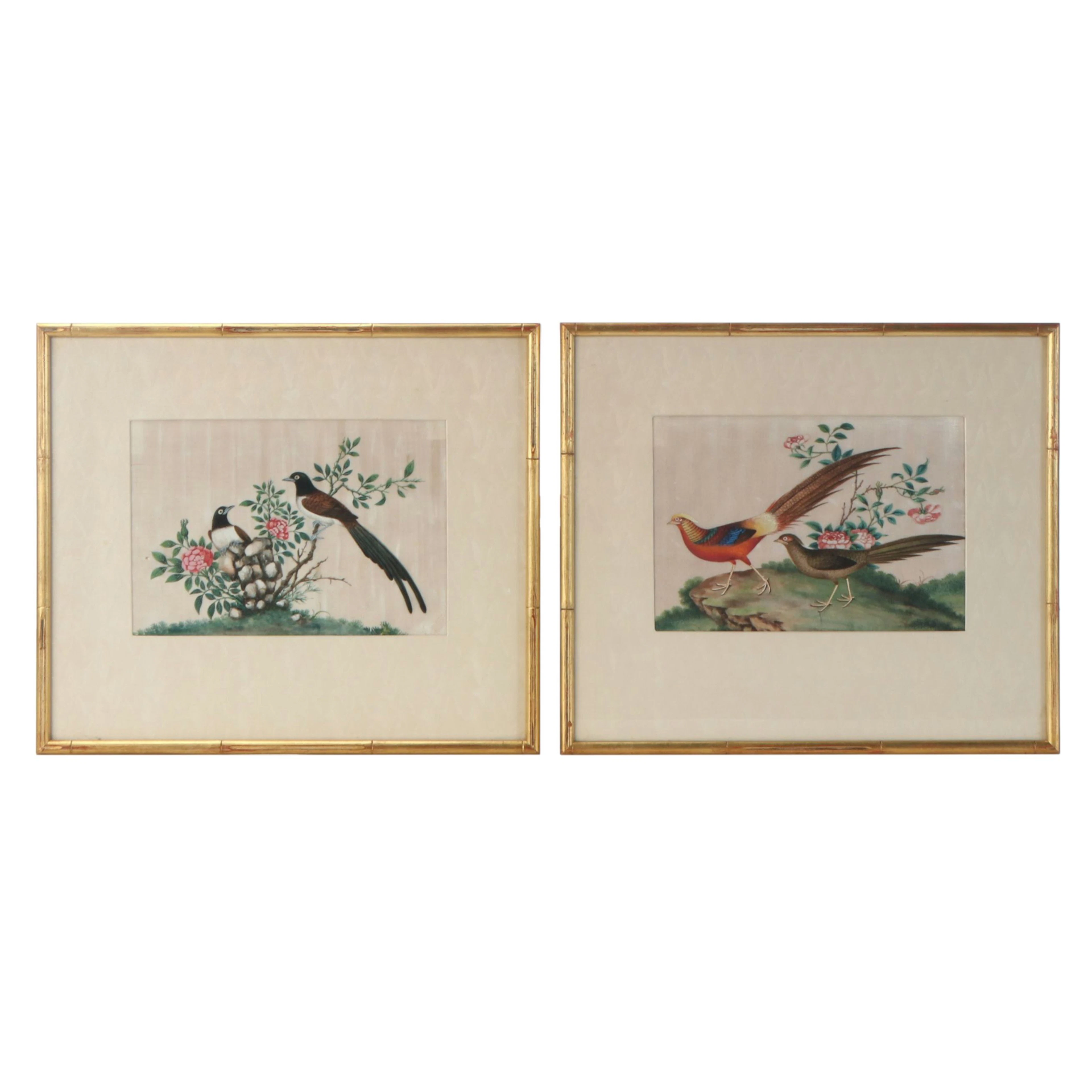Chinese Watercolor on Pith Paper Paintings in Gilt Faux Bamboo Frames