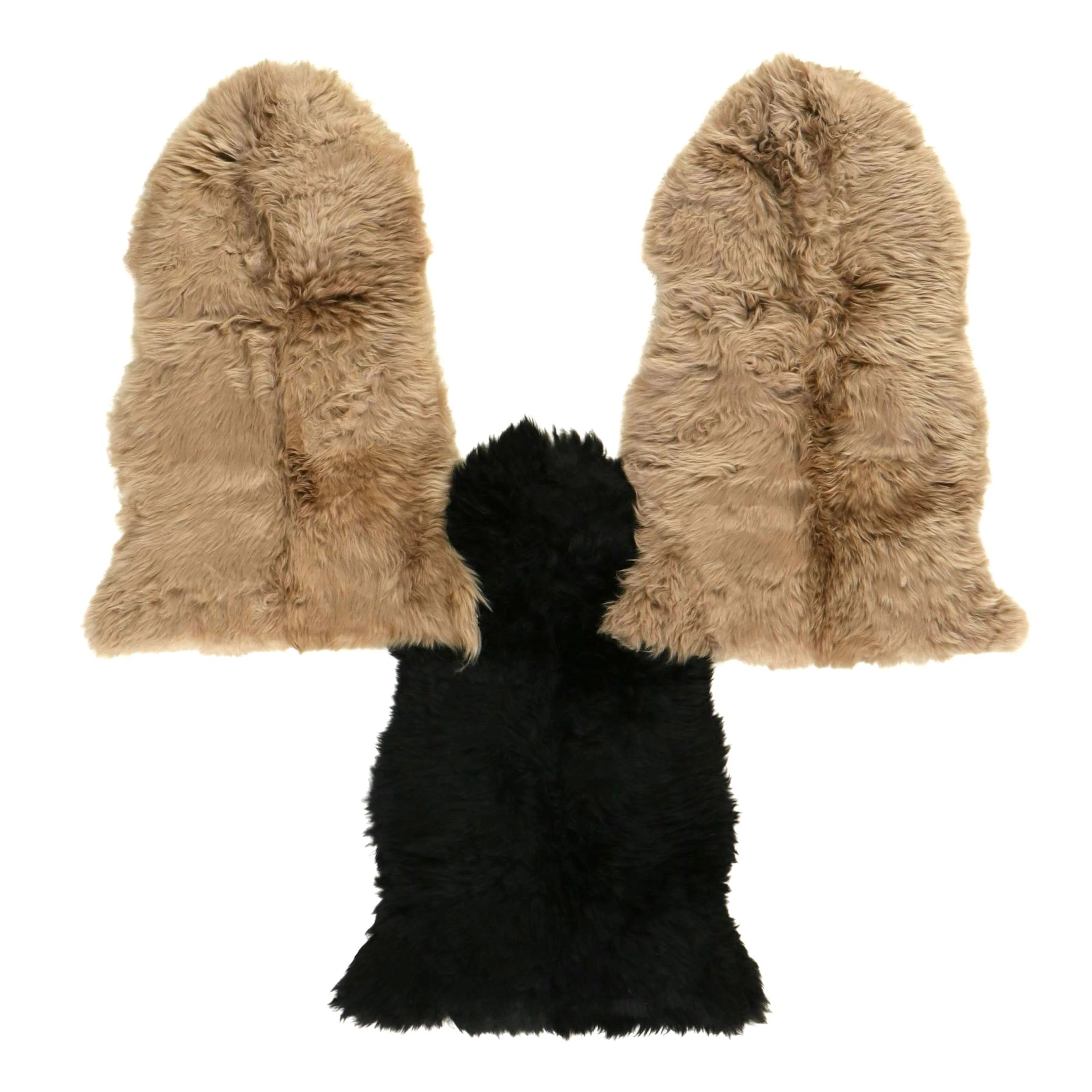 2' x 3' New Zealand Sheepskin Single Pelt Accent Rugs in Black and Mocha