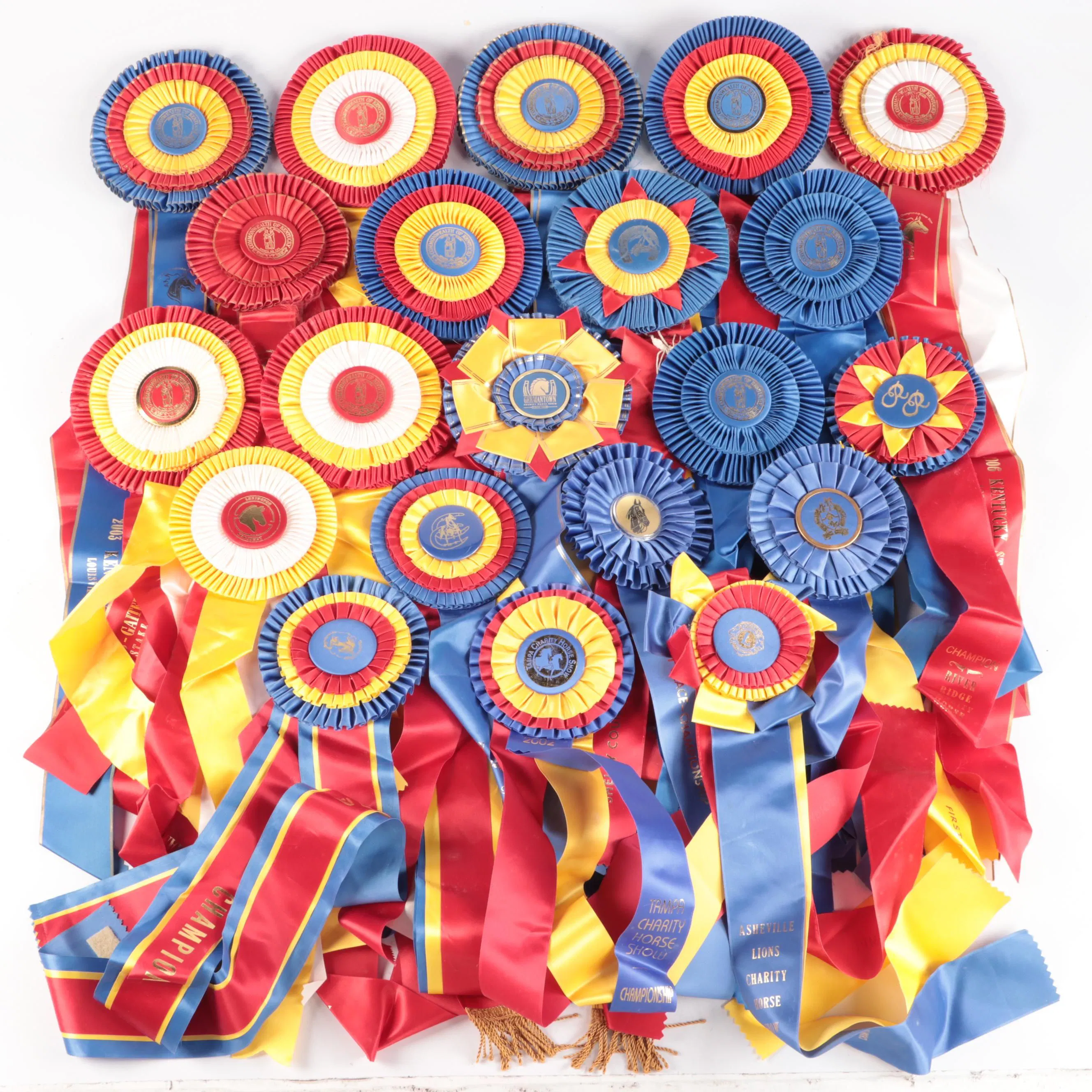Kentucky State Fair and More Saddlebred Equestrian Award Ribbons | Barnebys