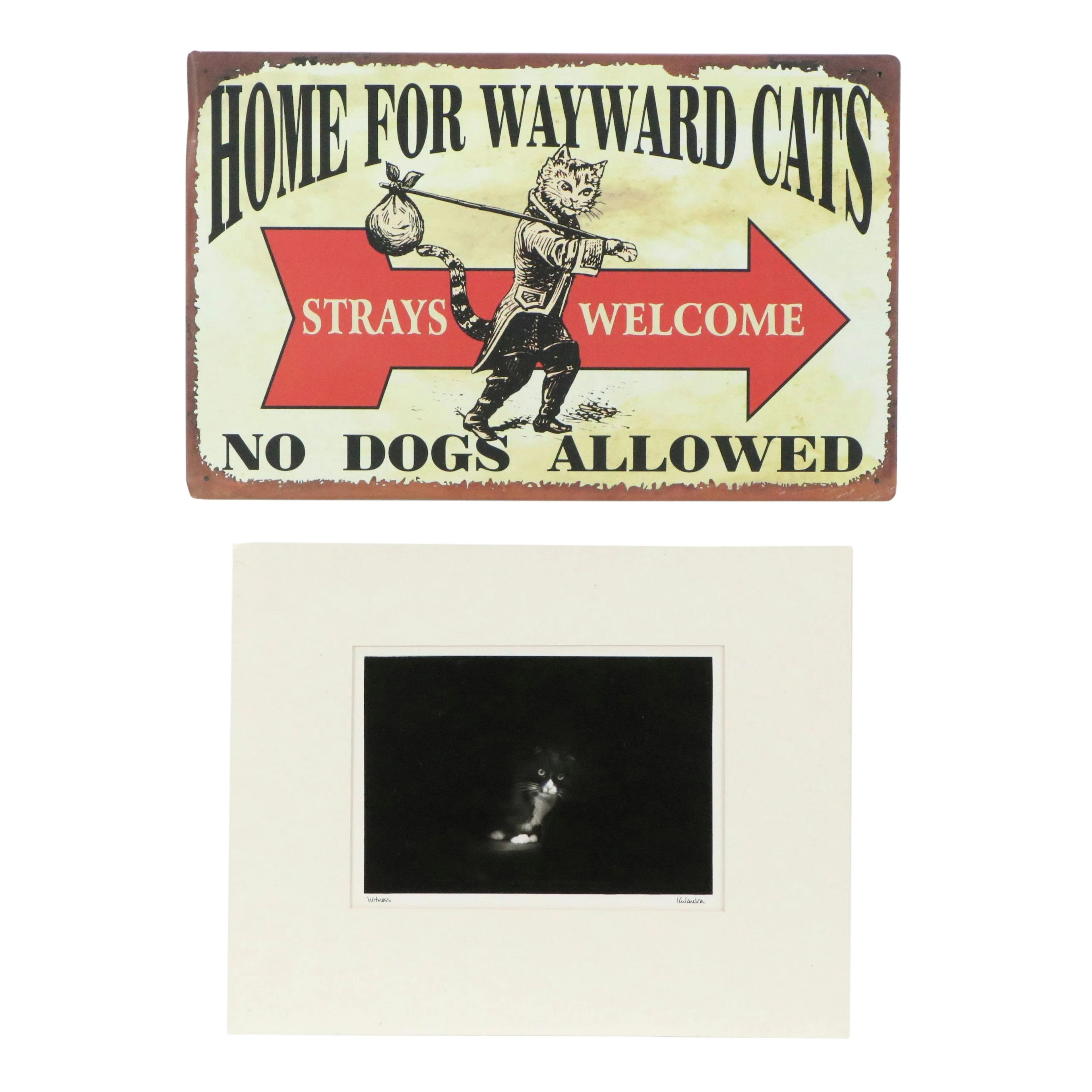Beth Kukucka Cat Portrait Digital Print "Witness," 2013