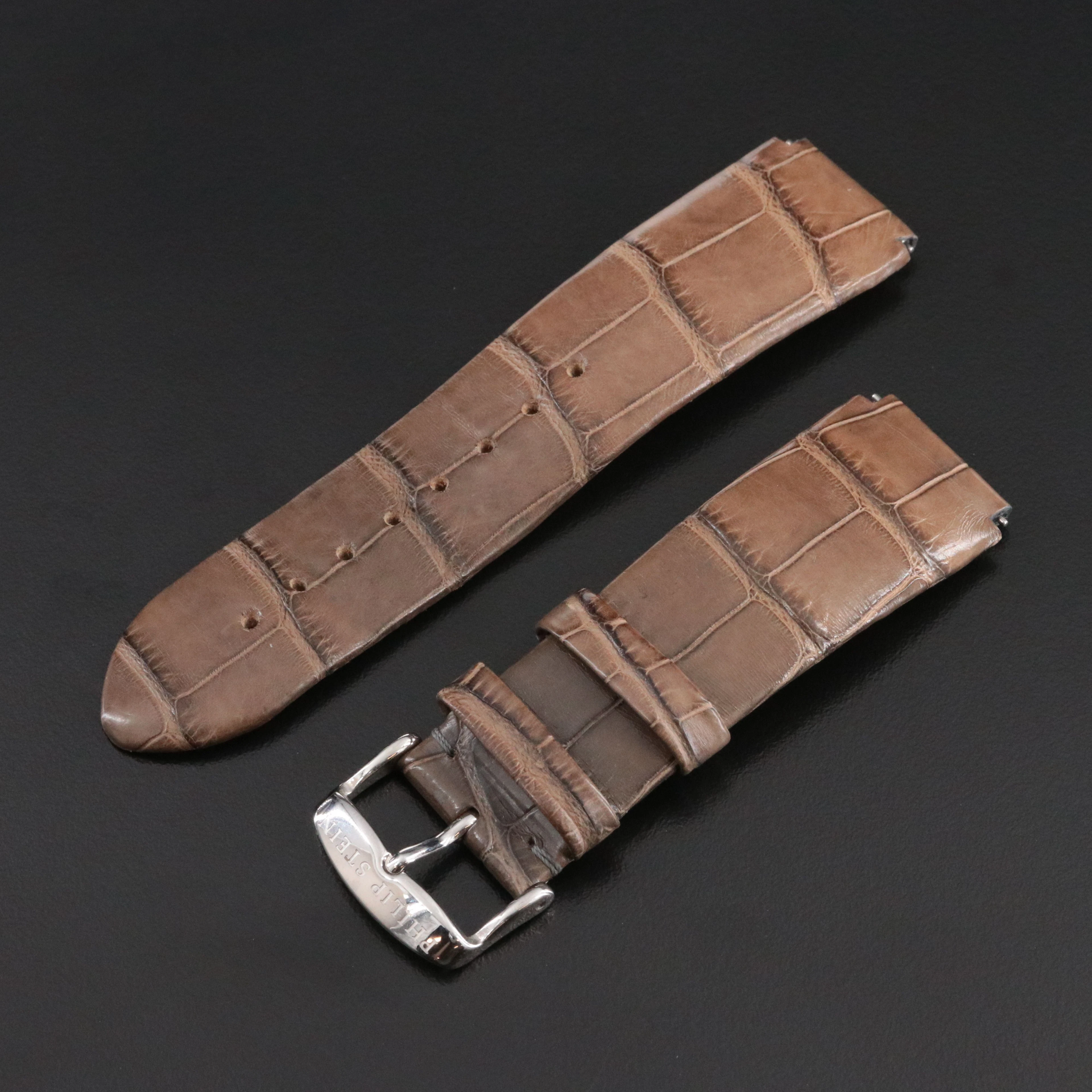 Philip Stein Alligator Watch Band