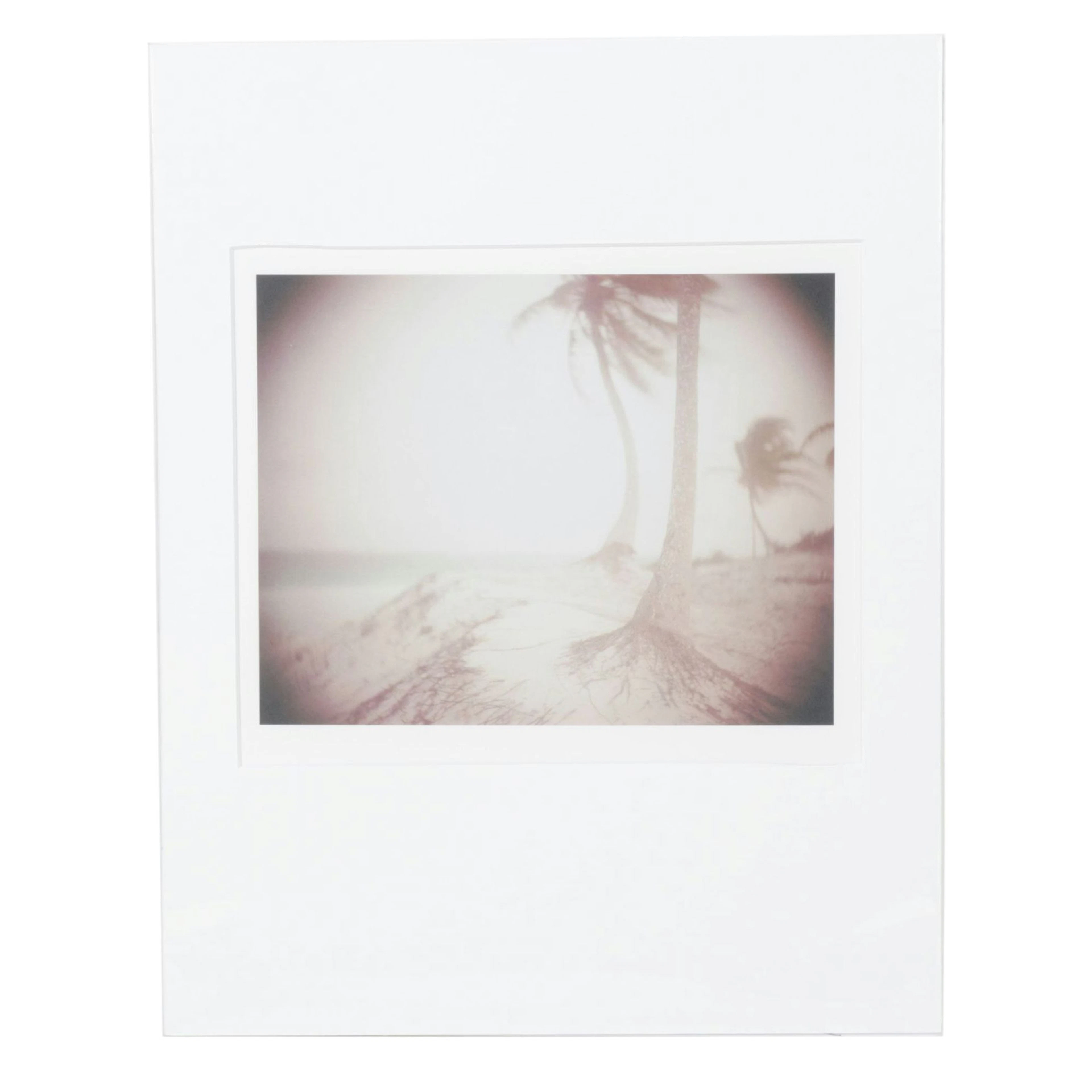 Sally Mann Offset Lithograph of Landscape Beach Scene