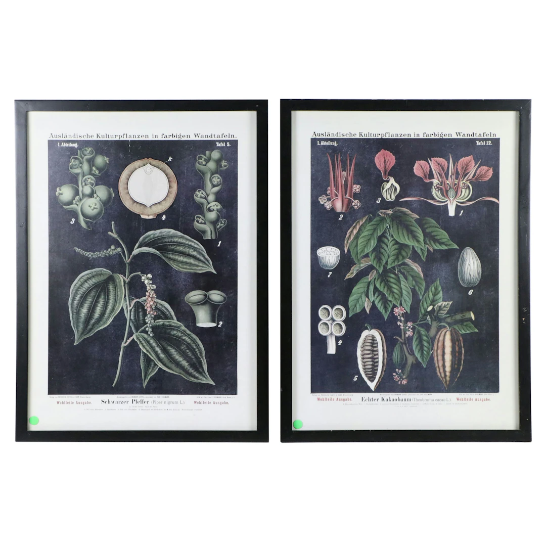 Botanical Giclée Prints After Carl Bollmann, 21st Century