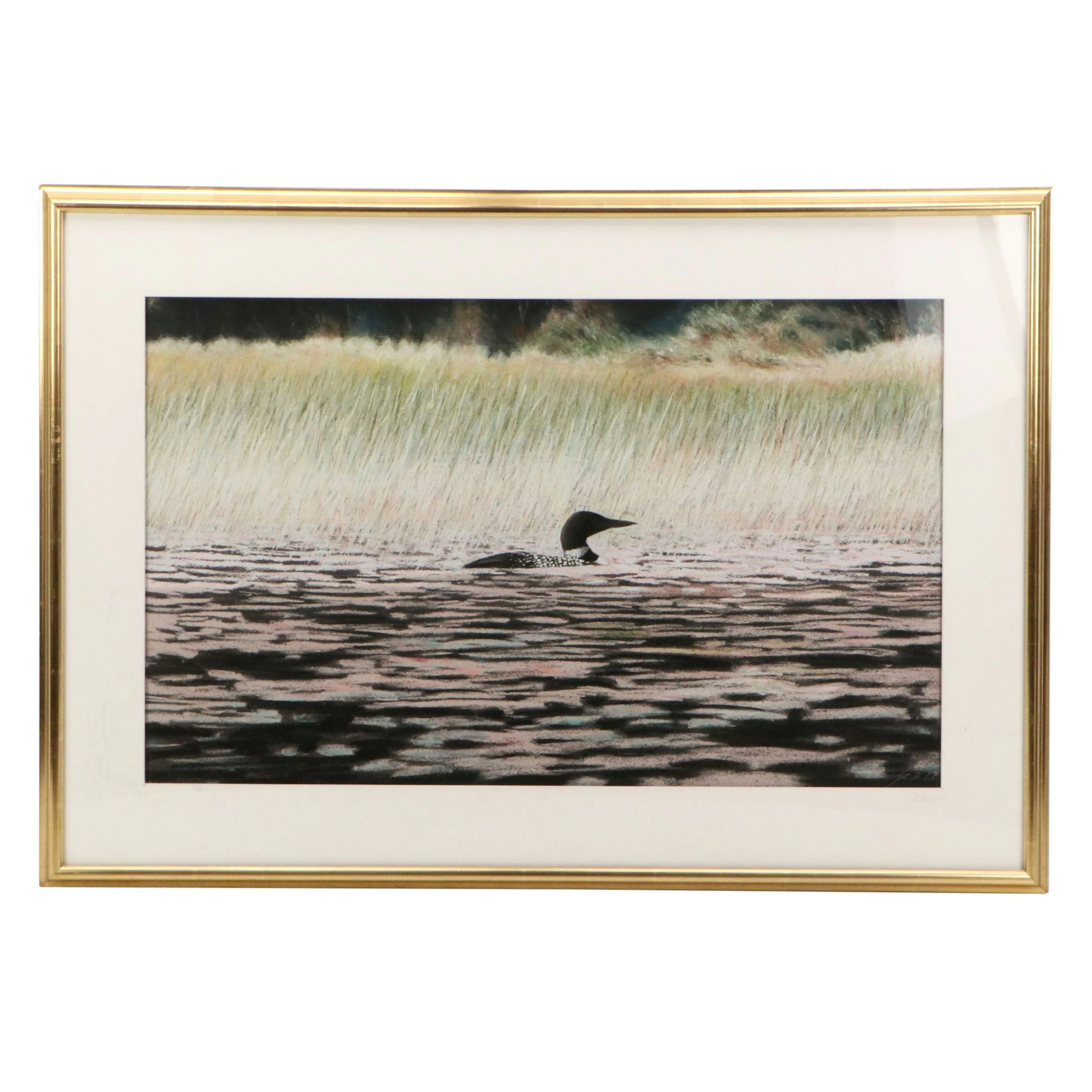 Large-Scale Pastel Drawing of Swimming Loon