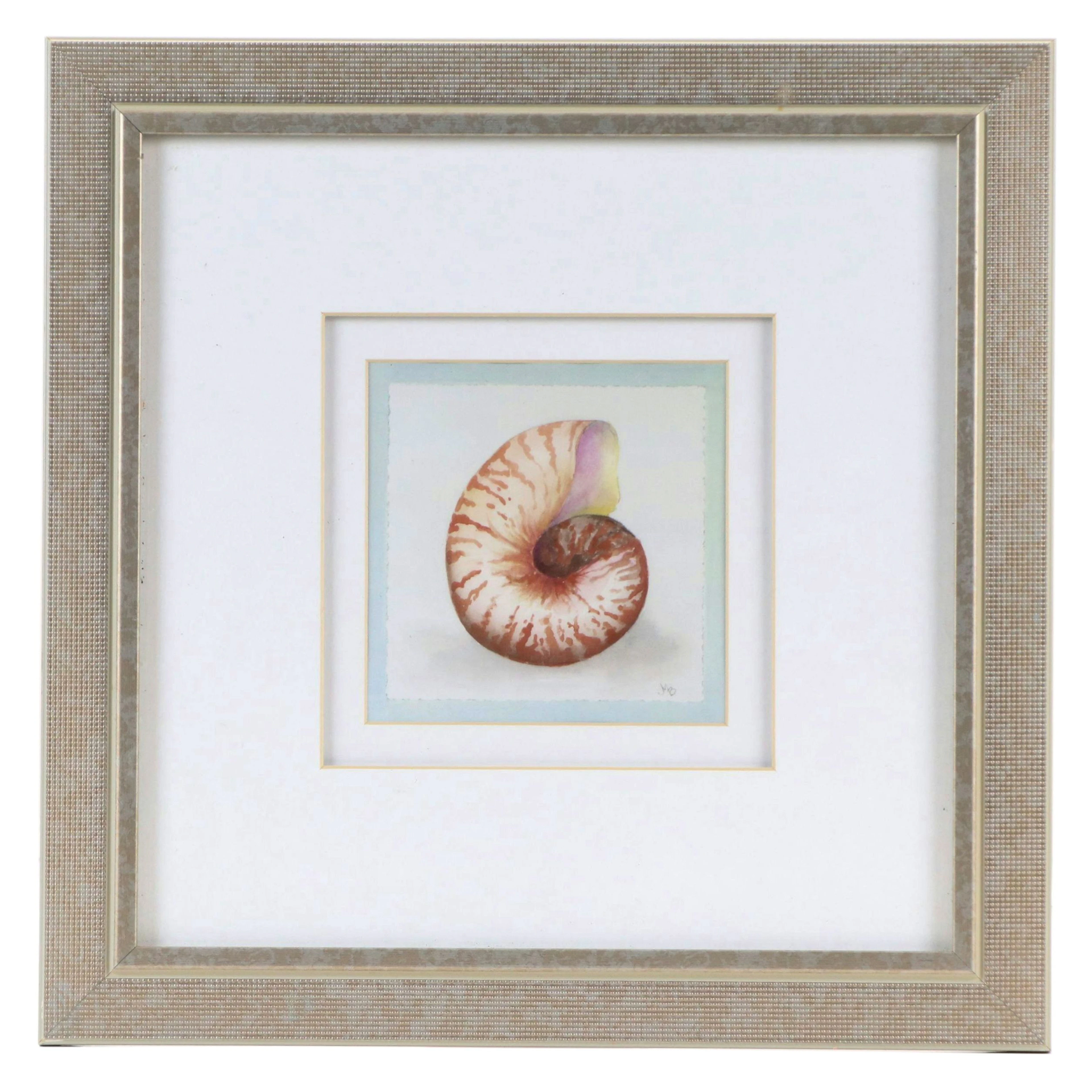 Offset Lithograph of Nautilus Shell, 21st Century