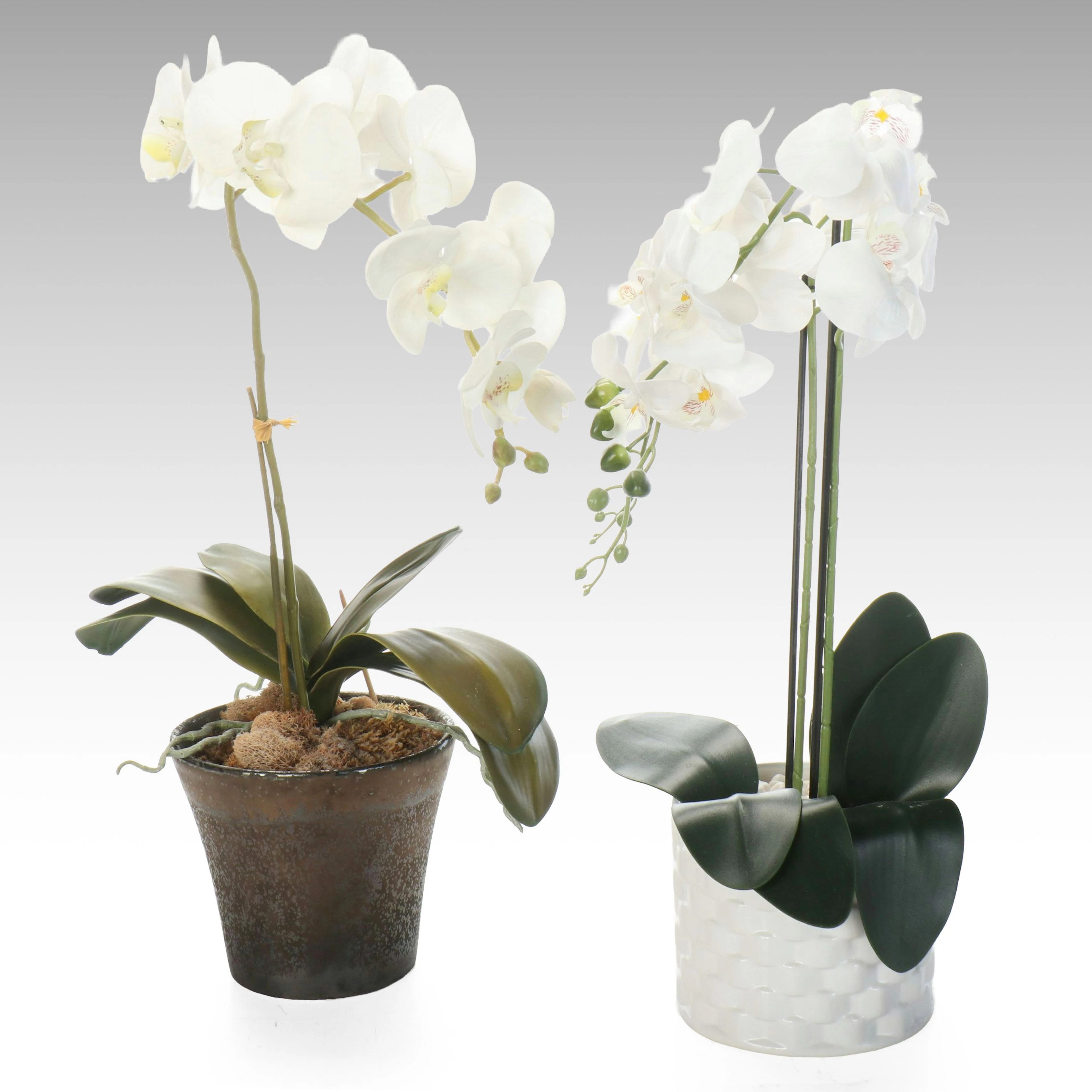 Artificial White Orchids in Ceramic Planters