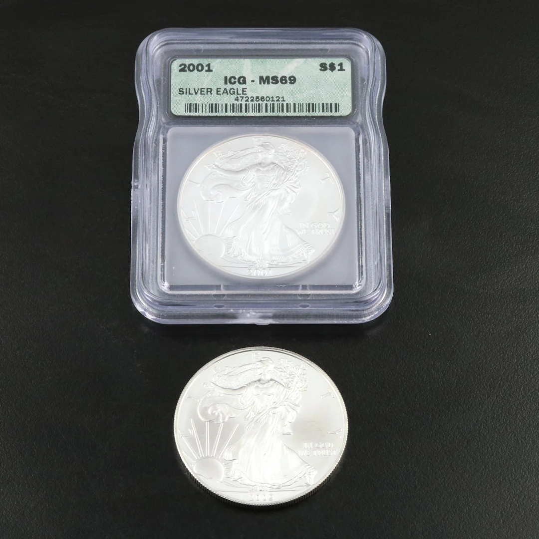 2001 and 2009 American Silver Eagle Bullion Coins