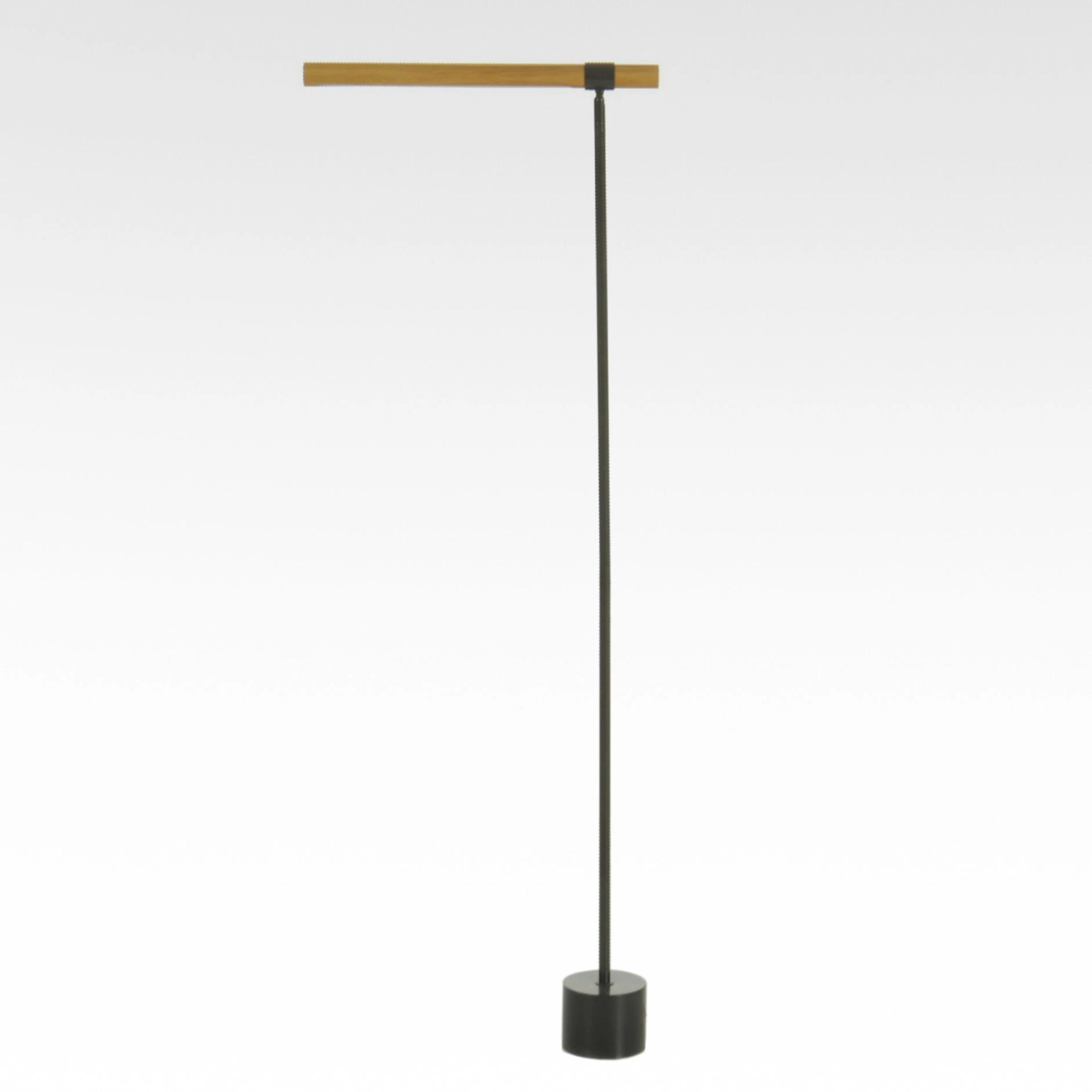 West Elm Contemporary Oak and Metal LED Floor Lamp