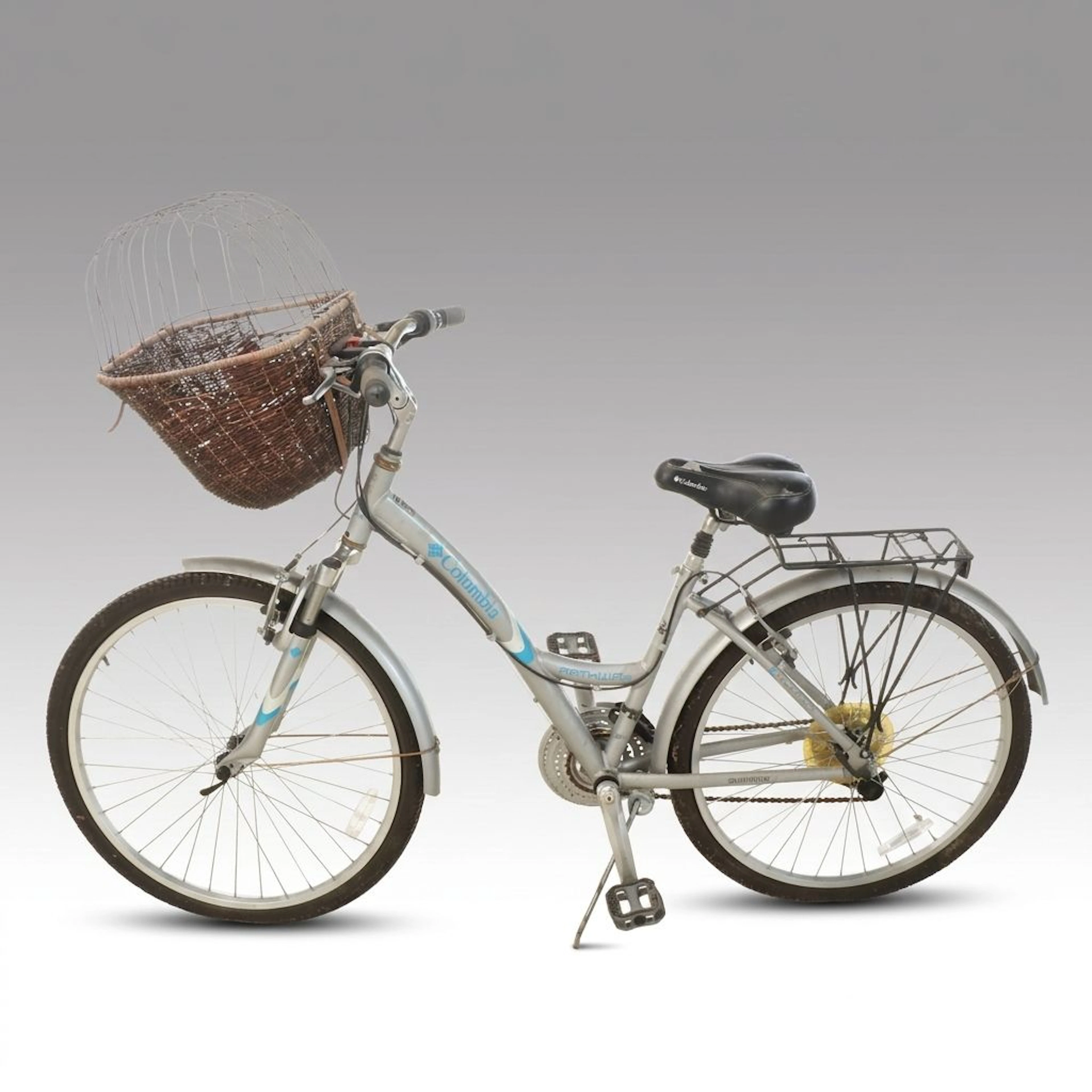 Columbia "Pathway" Cruiser Bicycle with Pet Basket