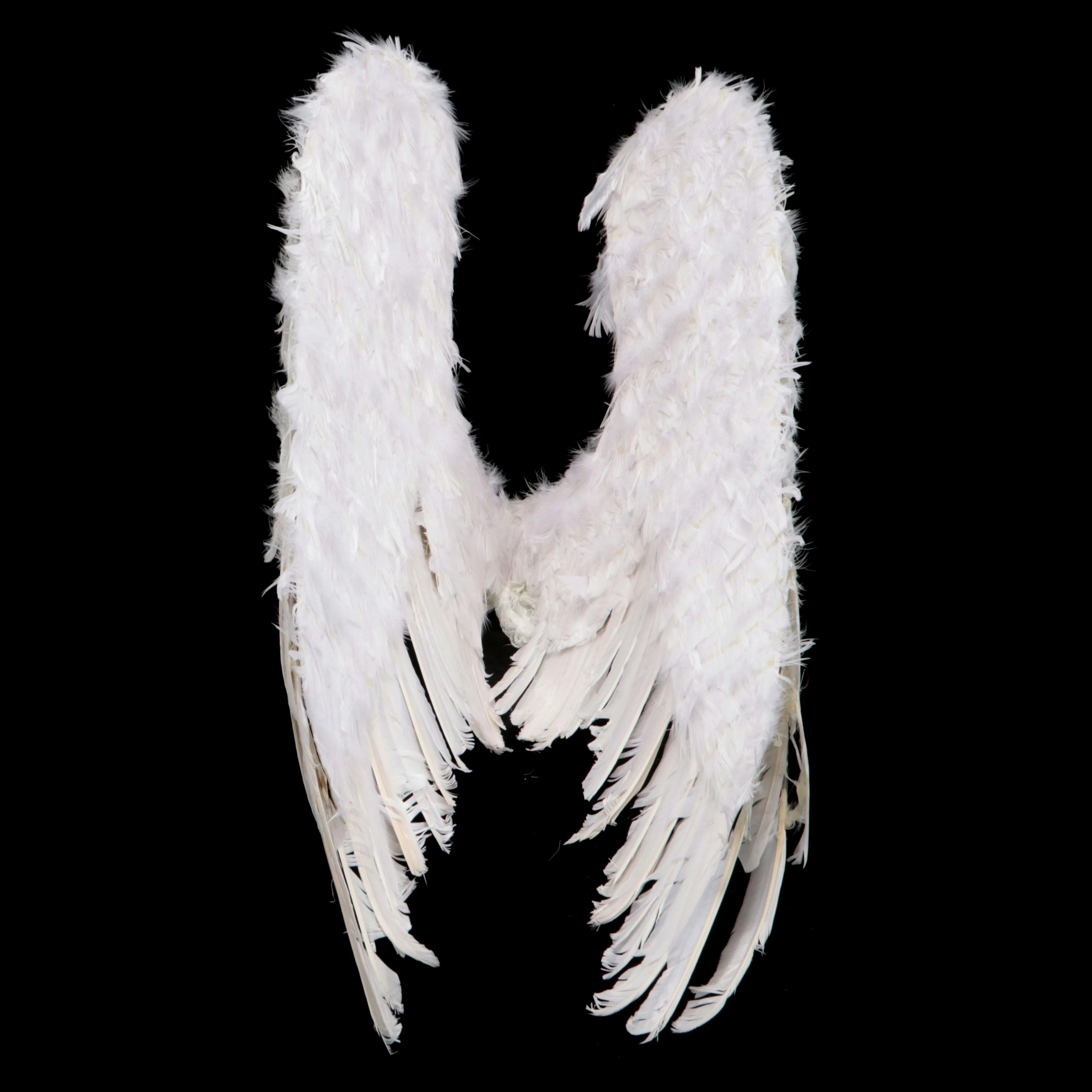 Hand-Crafted Feather and Lace Costume Angel Wings