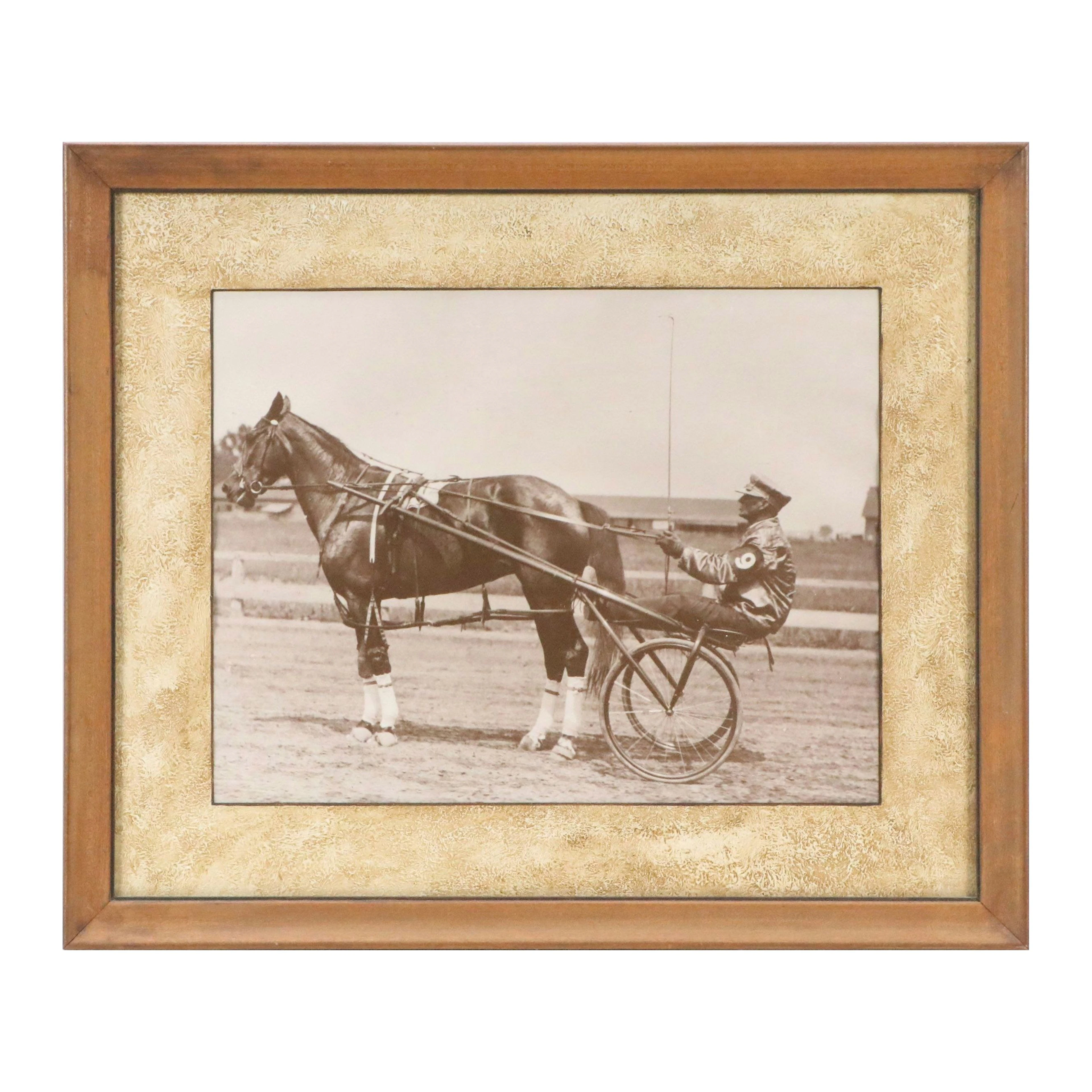 Equestrian Photograph of Harness Race Horse with Jockey, Sulky, Early 20th C