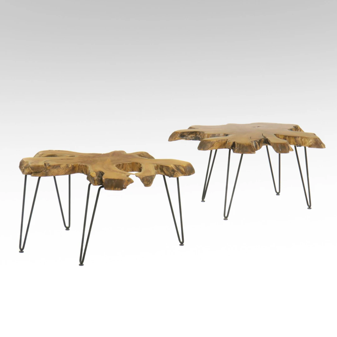 Two World Market Live Edge Wood Slice Cocktail Tables with Metal Hairpin Legs
