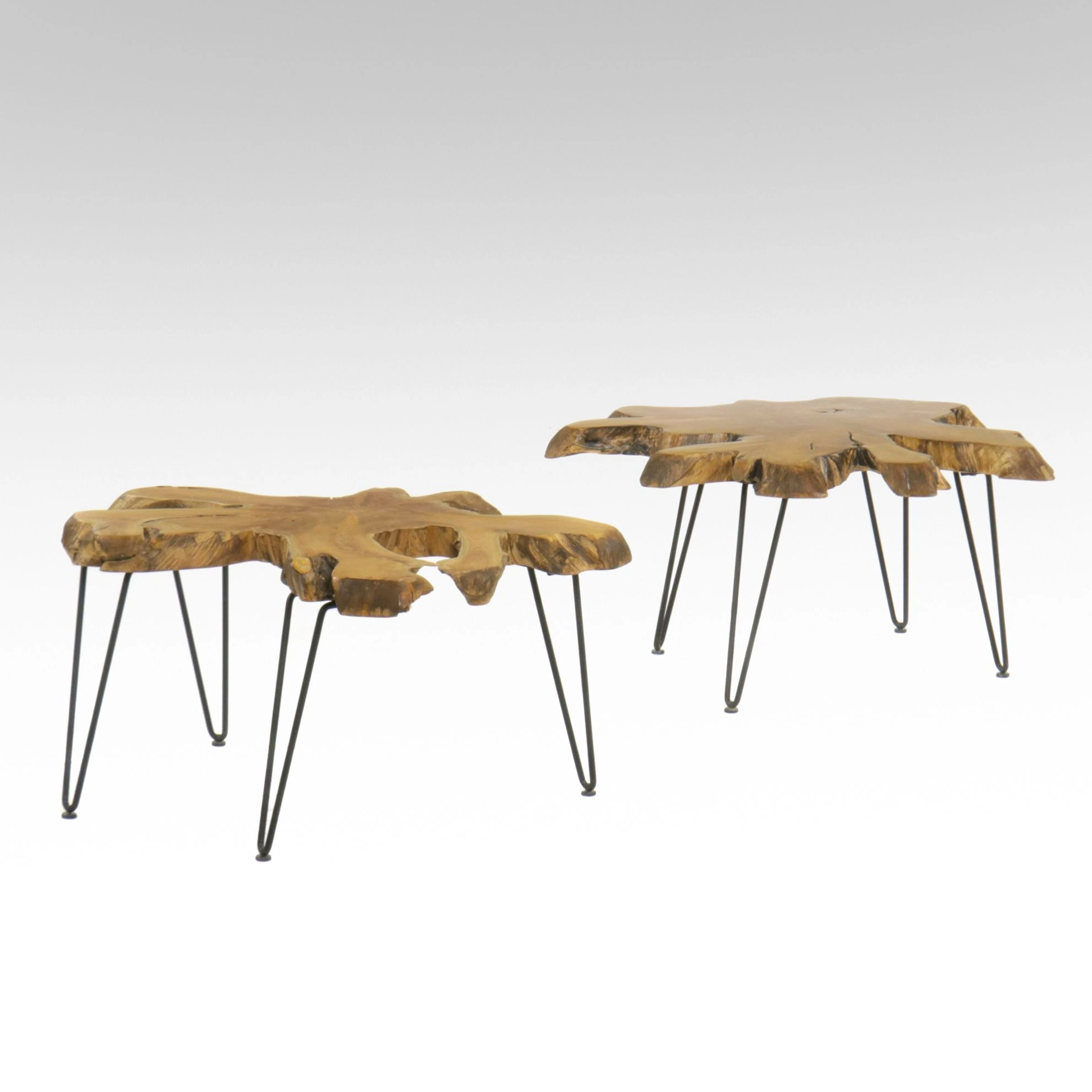Two World Market Live Edge Wood Slice Cocktail Tables with Metal Hairpin Legs