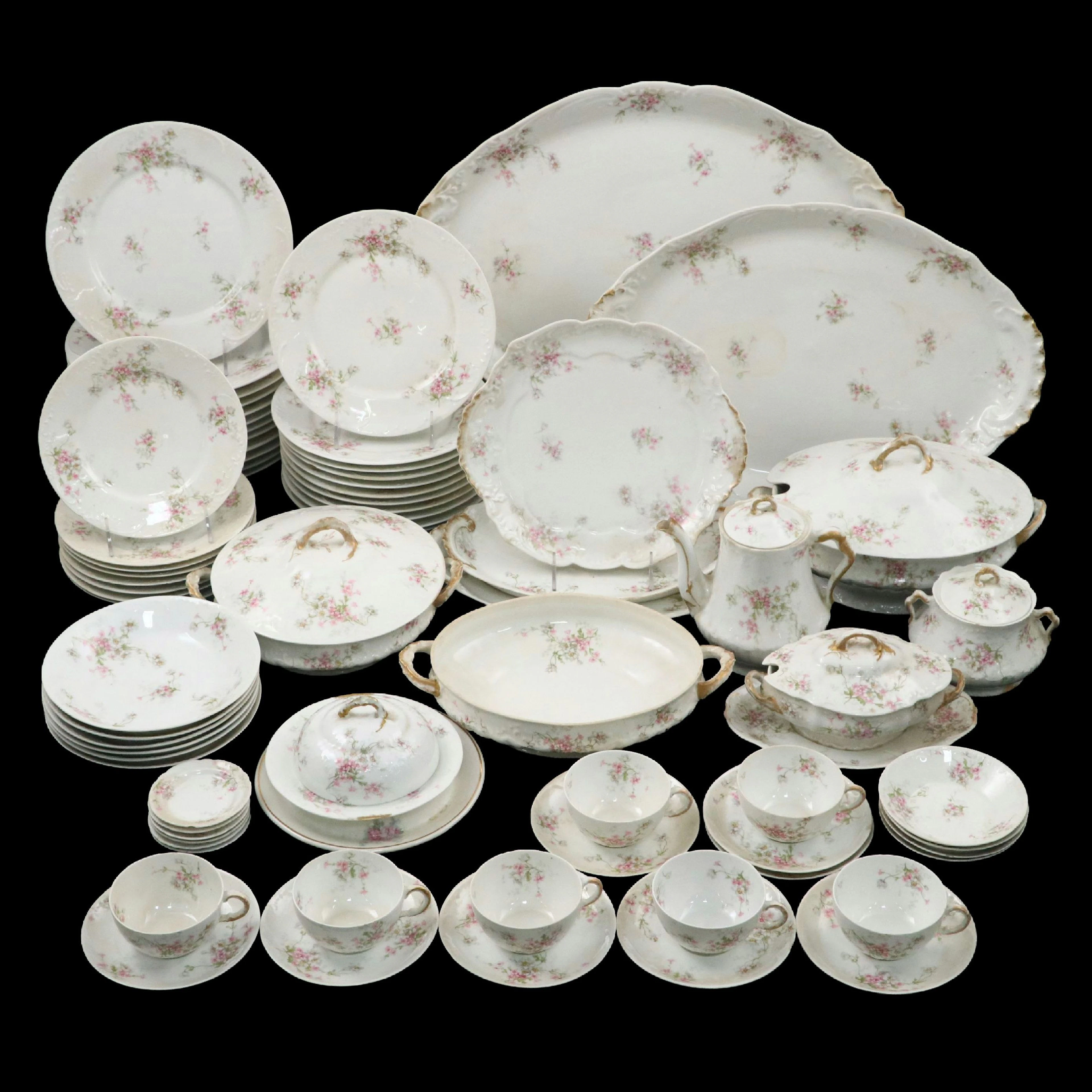 Theodore Haviland Porcelain Dinnerware