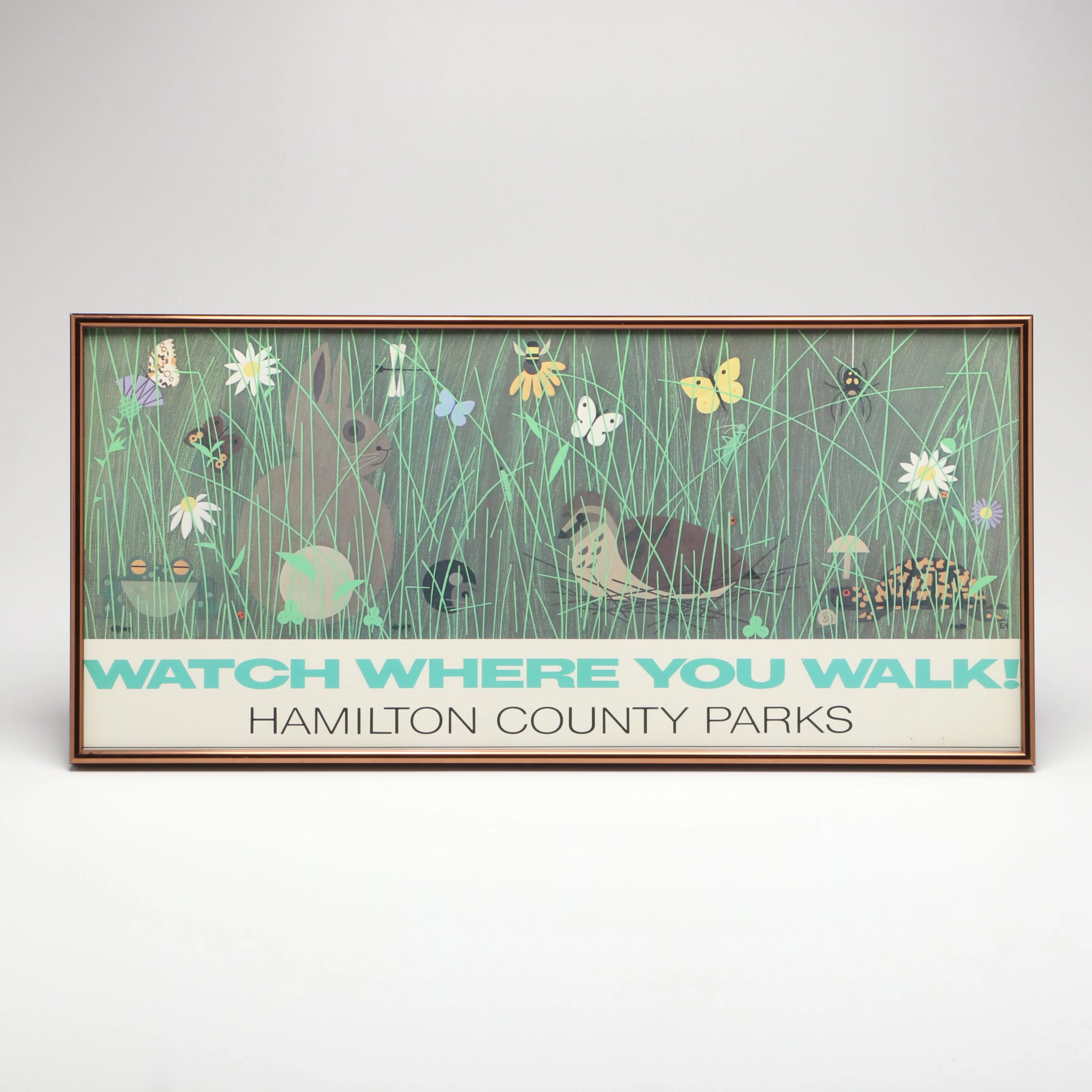 Hamilton County Parks "Watch Where You Walk" Print