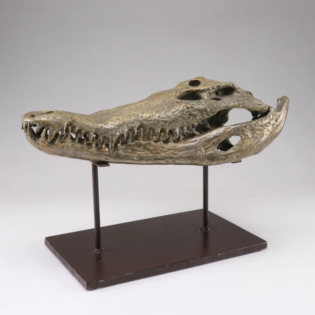Brass and Metal Mold-Cast Crocodile Skull with Stand