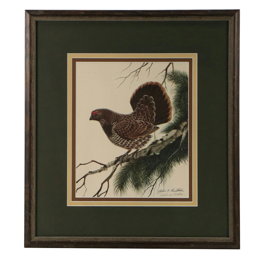 John Ruthven Offset Lithograph "Spruce Grouse"