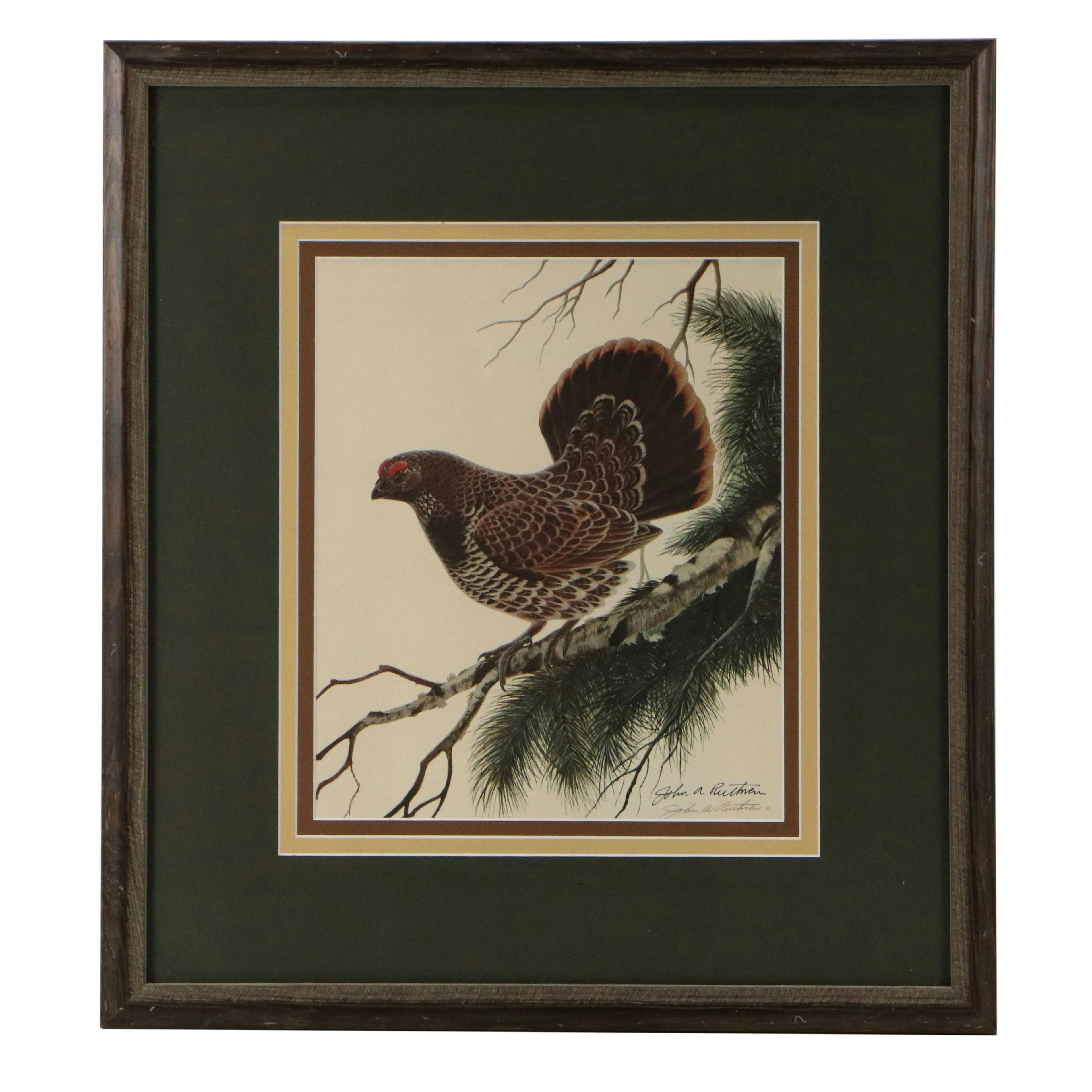 John Ruthven Offset Lithograph "Spruce Grouse"