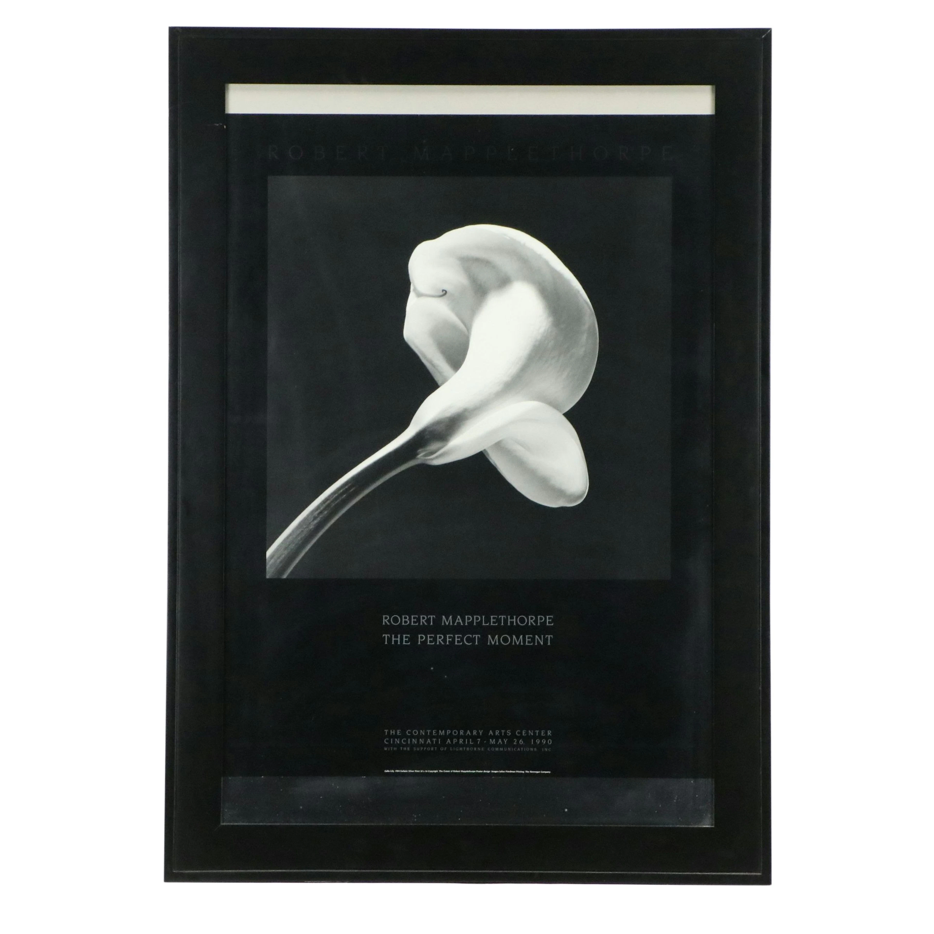 Offset Lithograph Exhibition Poster "Robert Mapplethorpe: The Perfect Moment"