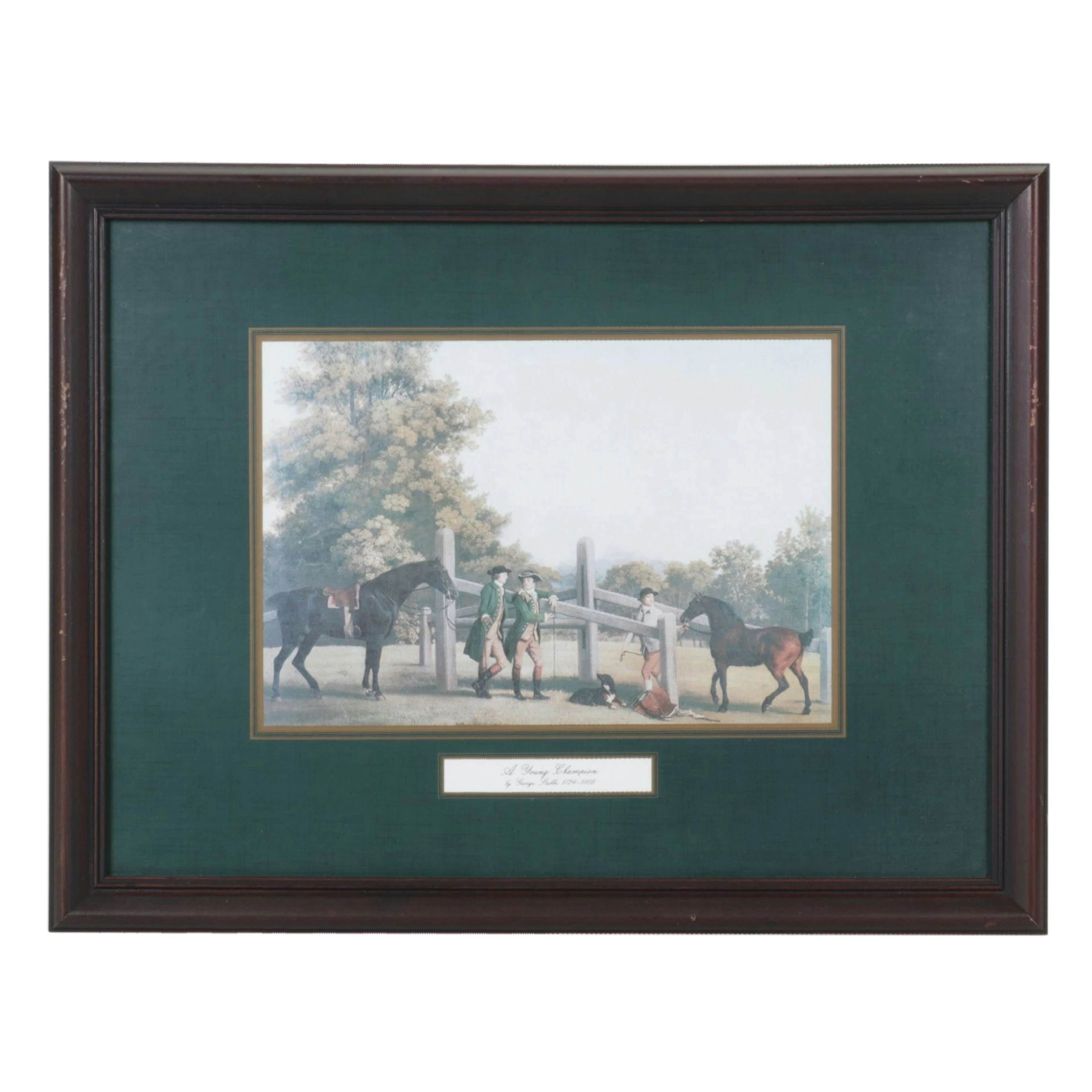 Offset Lithograph After George Stubbs "A Young Champion", Late 20th Century