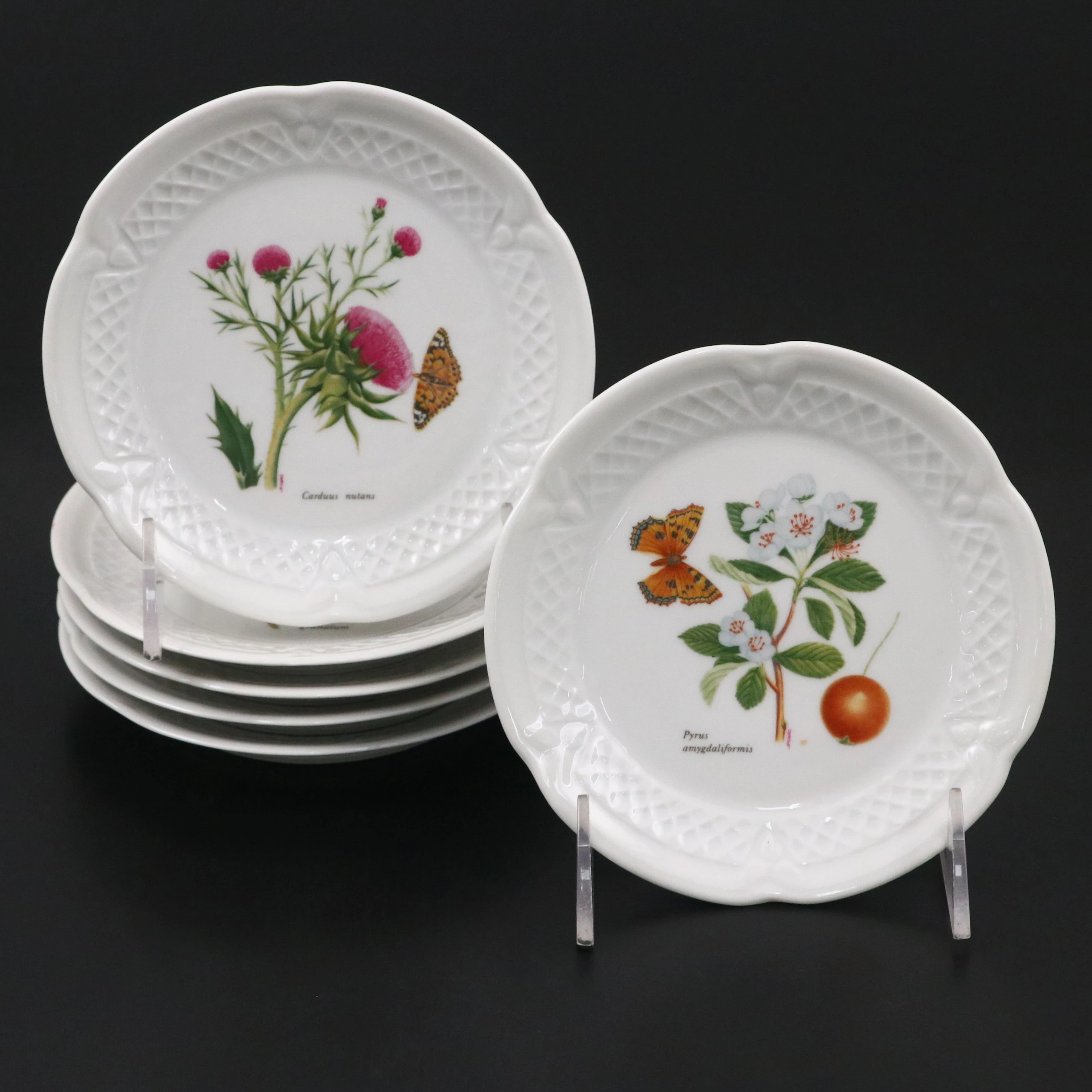 Philippe Deshoulières Porcelain Plates