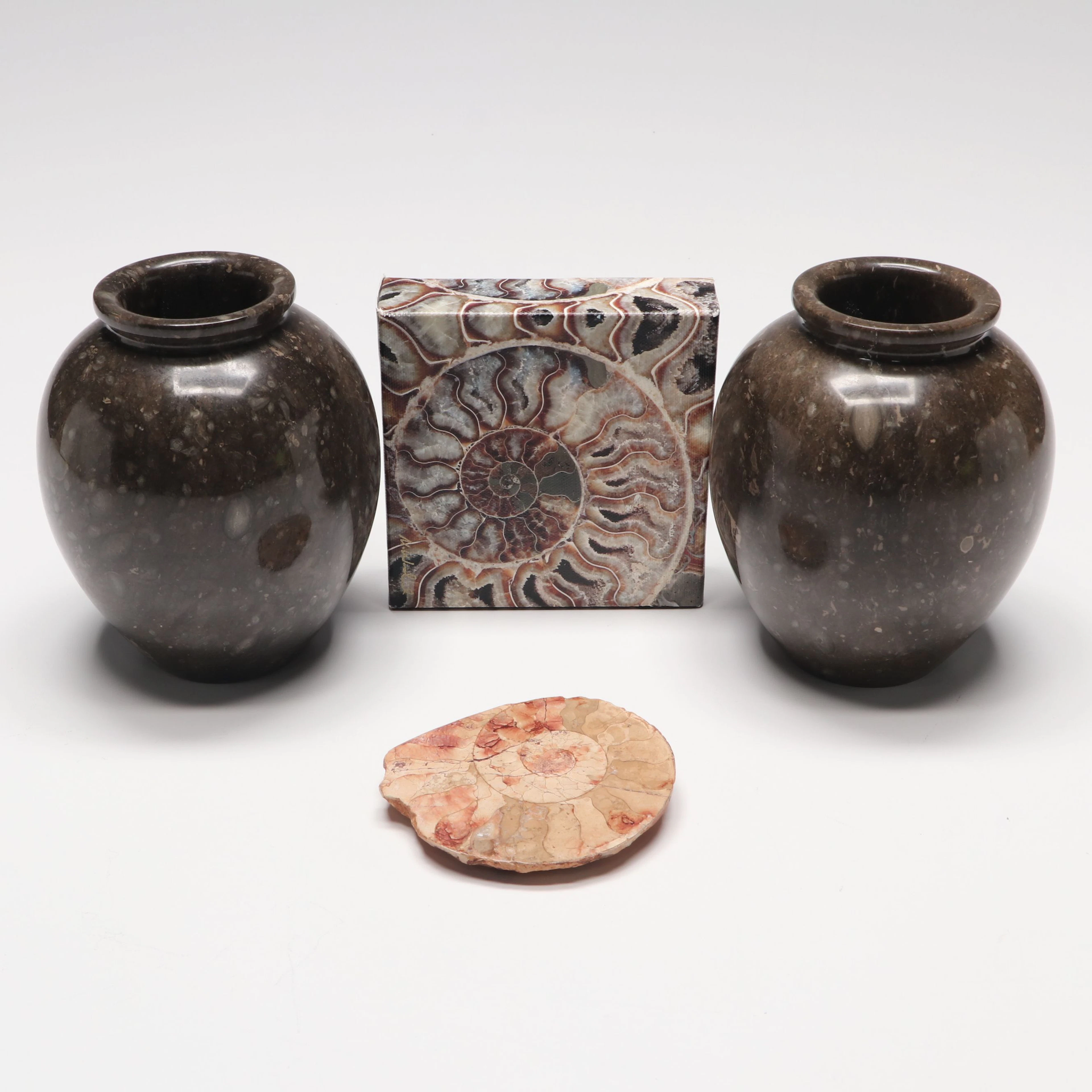 Polished Ammonite Specimen with Fossil Stone Vases and Framed Décor