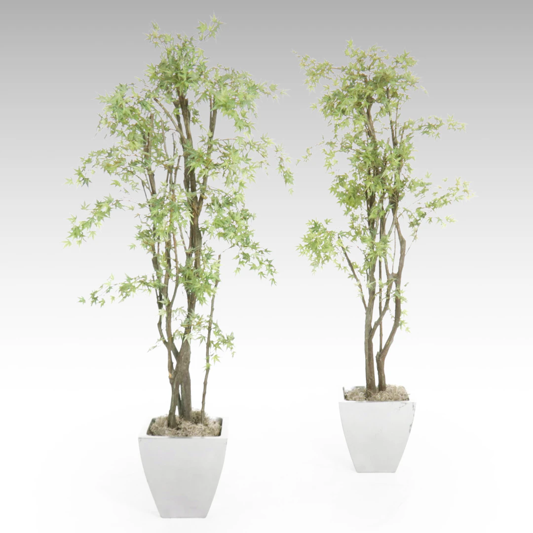 Pair of Faux Maple Trees in Planters