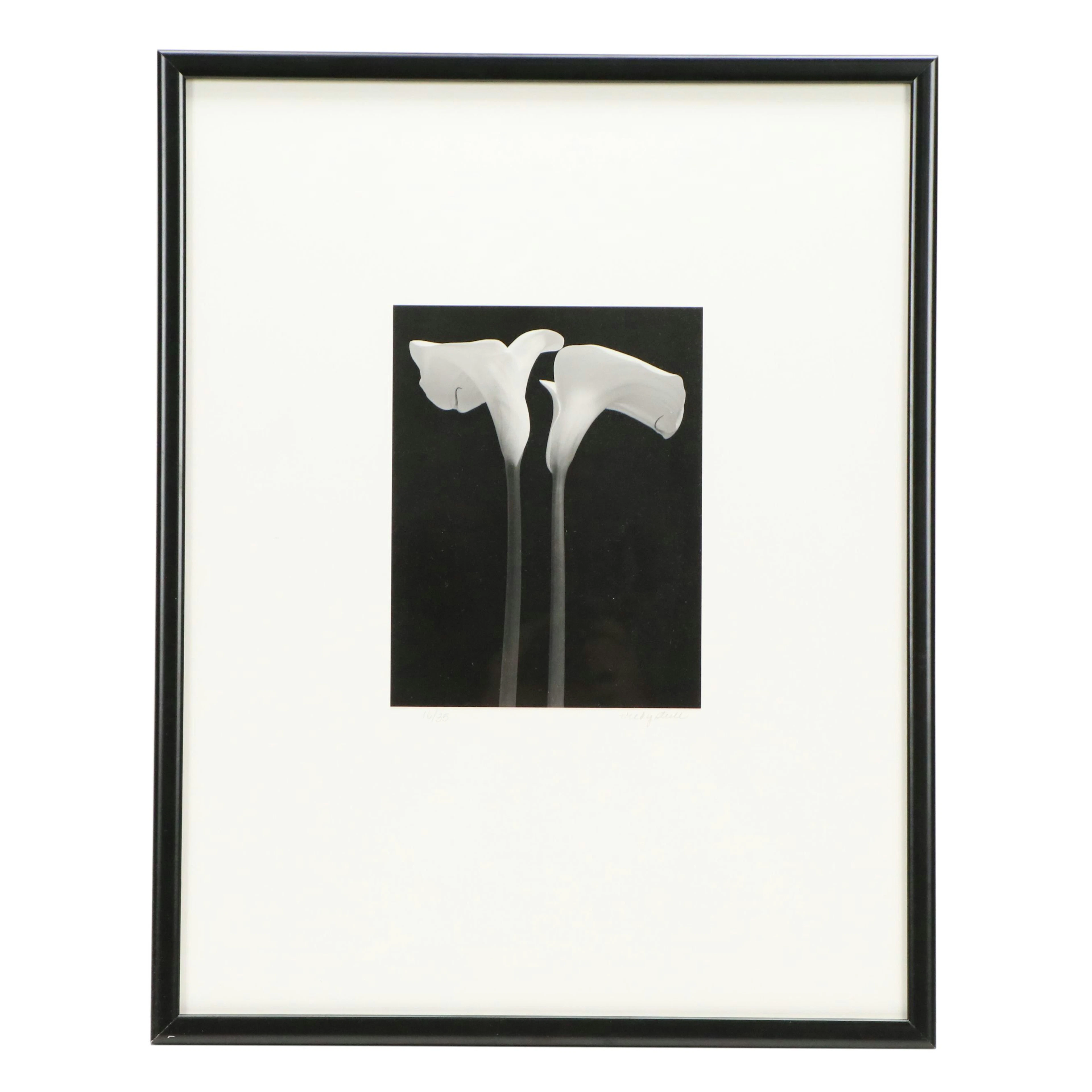 Vicky Stull Silver Gelatin Print of Calla Lilies
