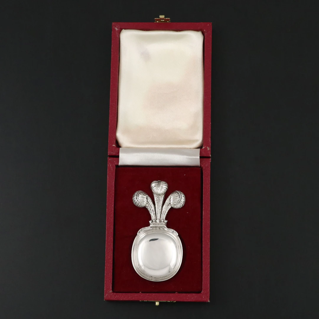 Charles and Diana Royal Wedding Commemorative Sterling Silver Caddy Spoon, 1981