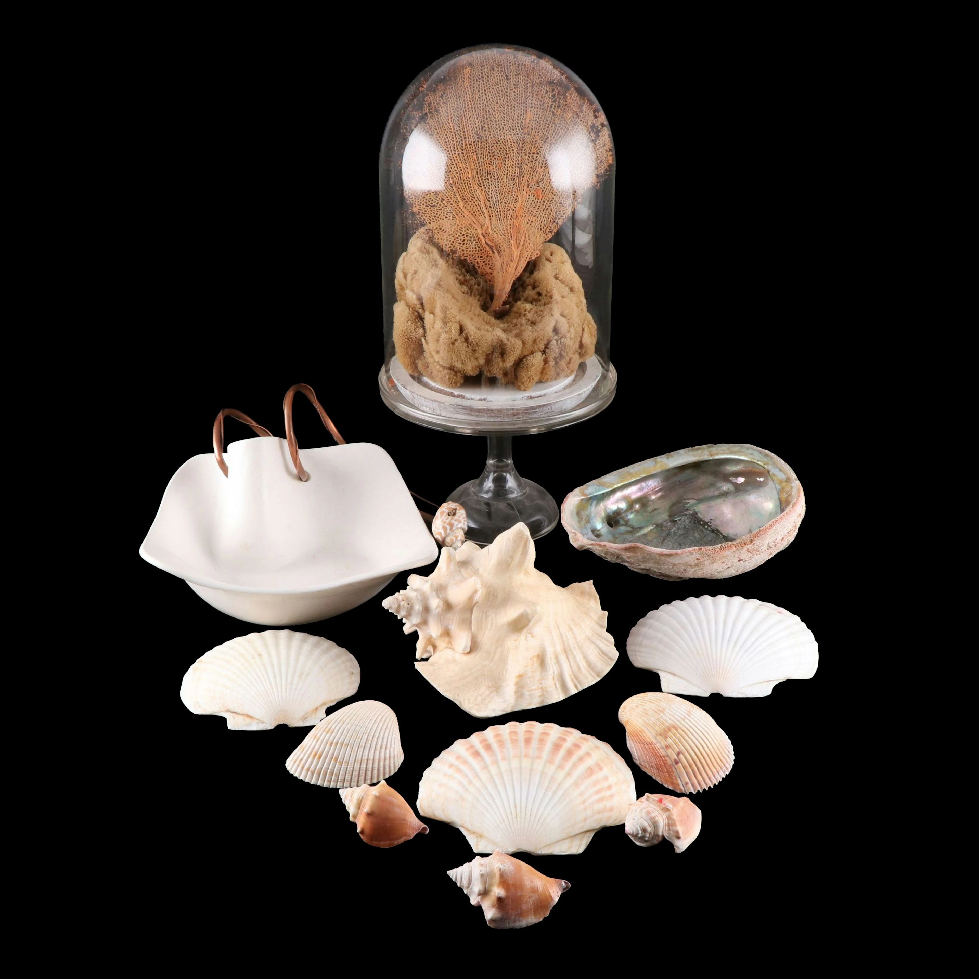 Handcrafted Ceramic Freeform Bowl with Abalone, Sea Sponge and More Shells