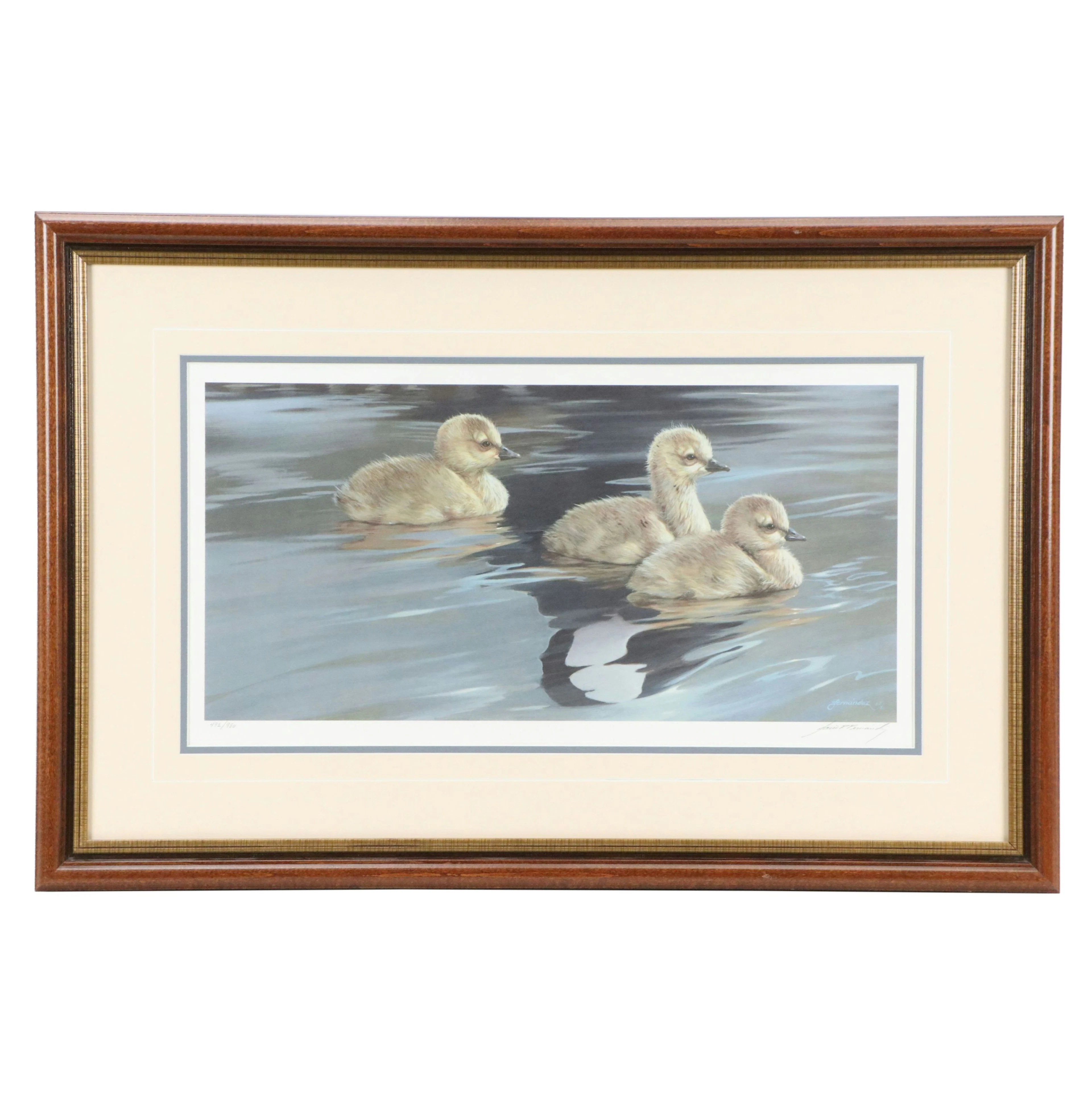 Mario Fernandez Offset Lithograph "Love's Reflection (Young Canada Geese)"