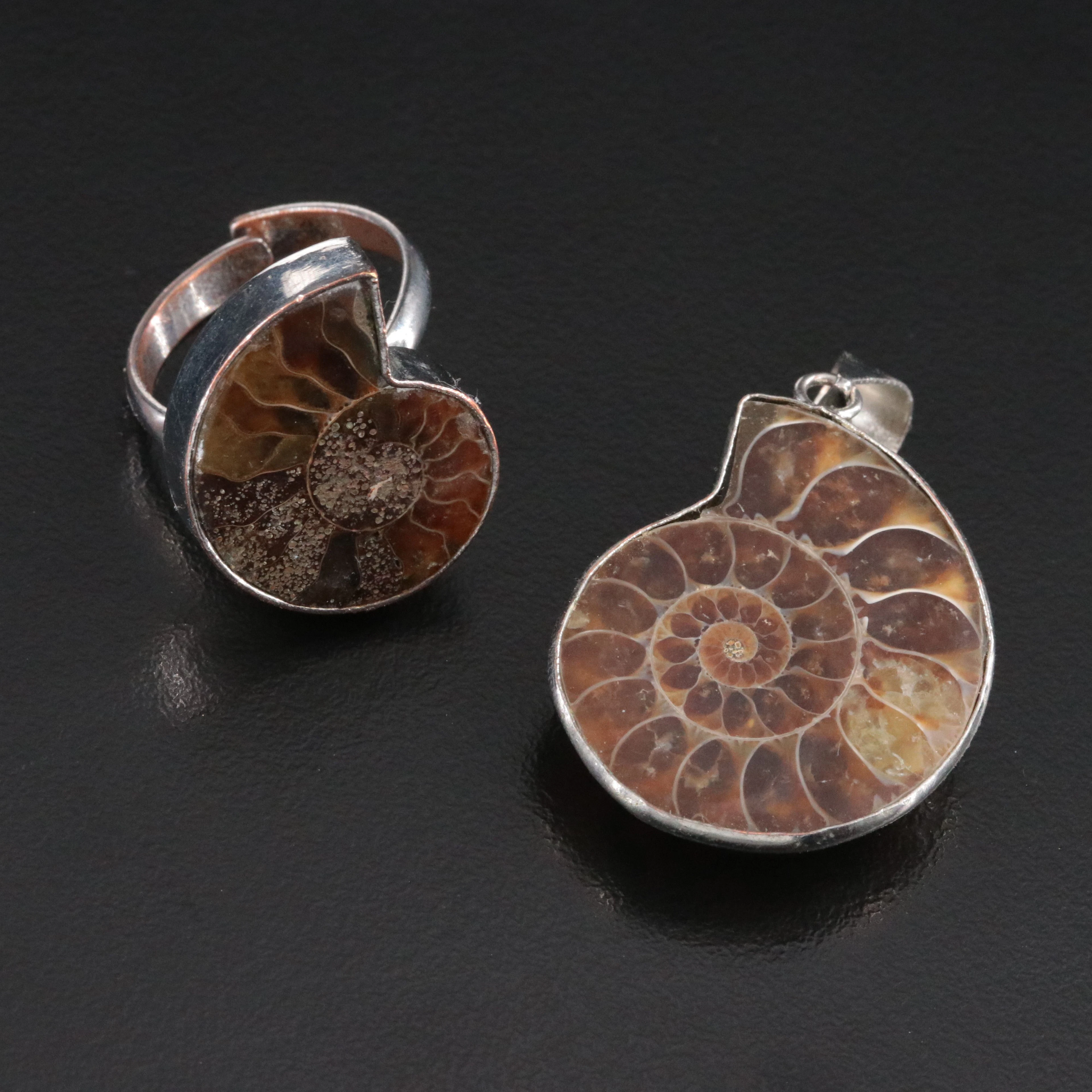 Ammonite Ring and Pendant