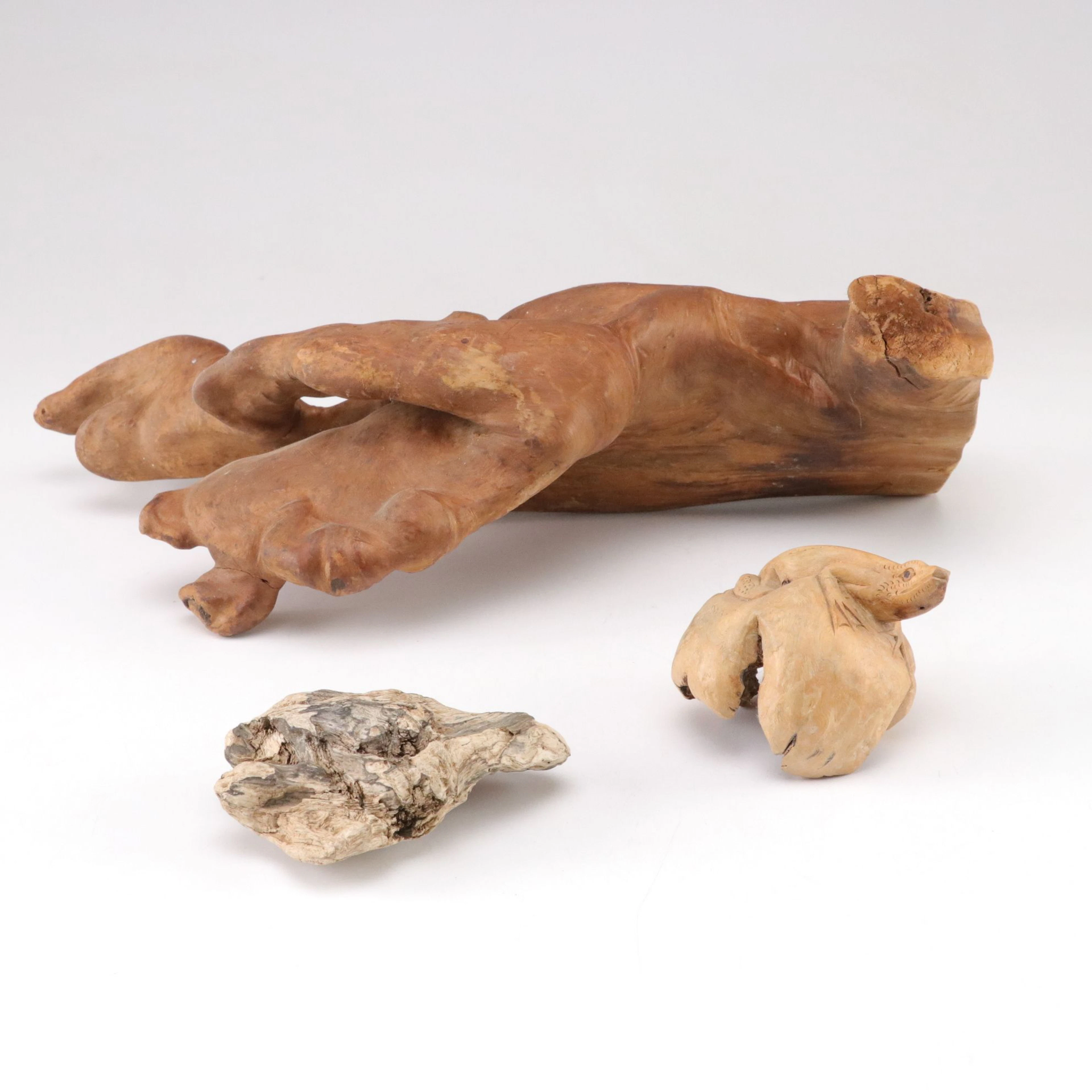 Indonesian Burl Wood Frog with Decorative Natural Wood Sculptures