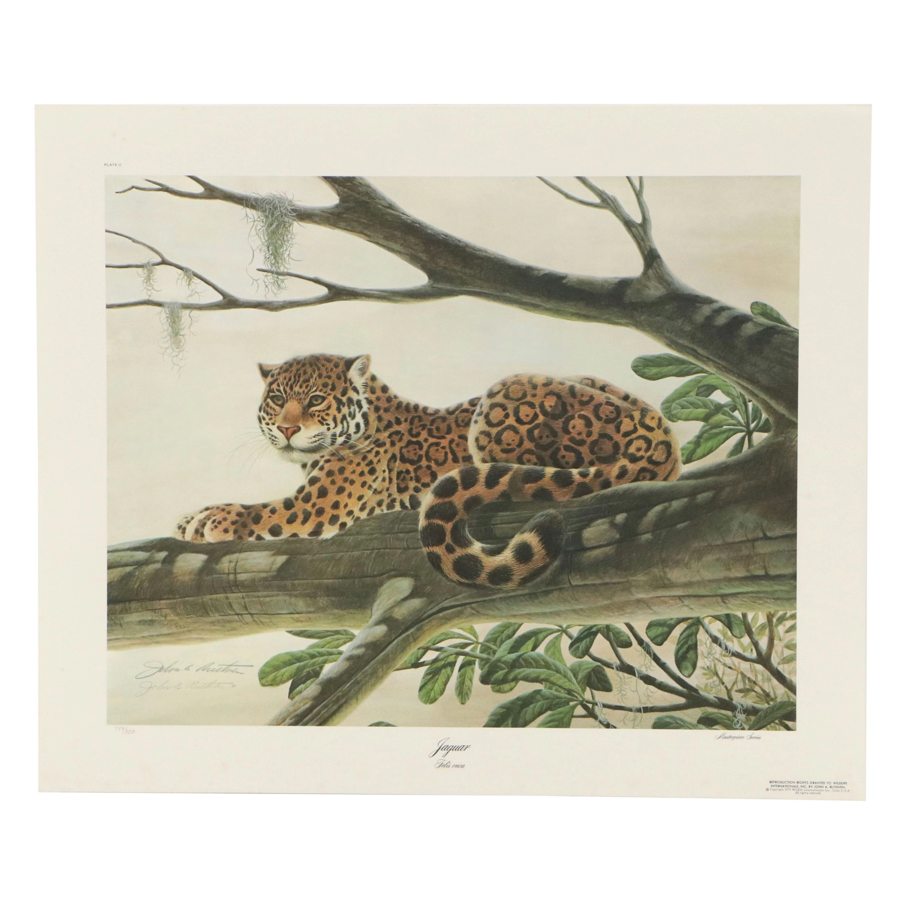 John A. Ruthven Offset Lithograph "Jaguar," 1975