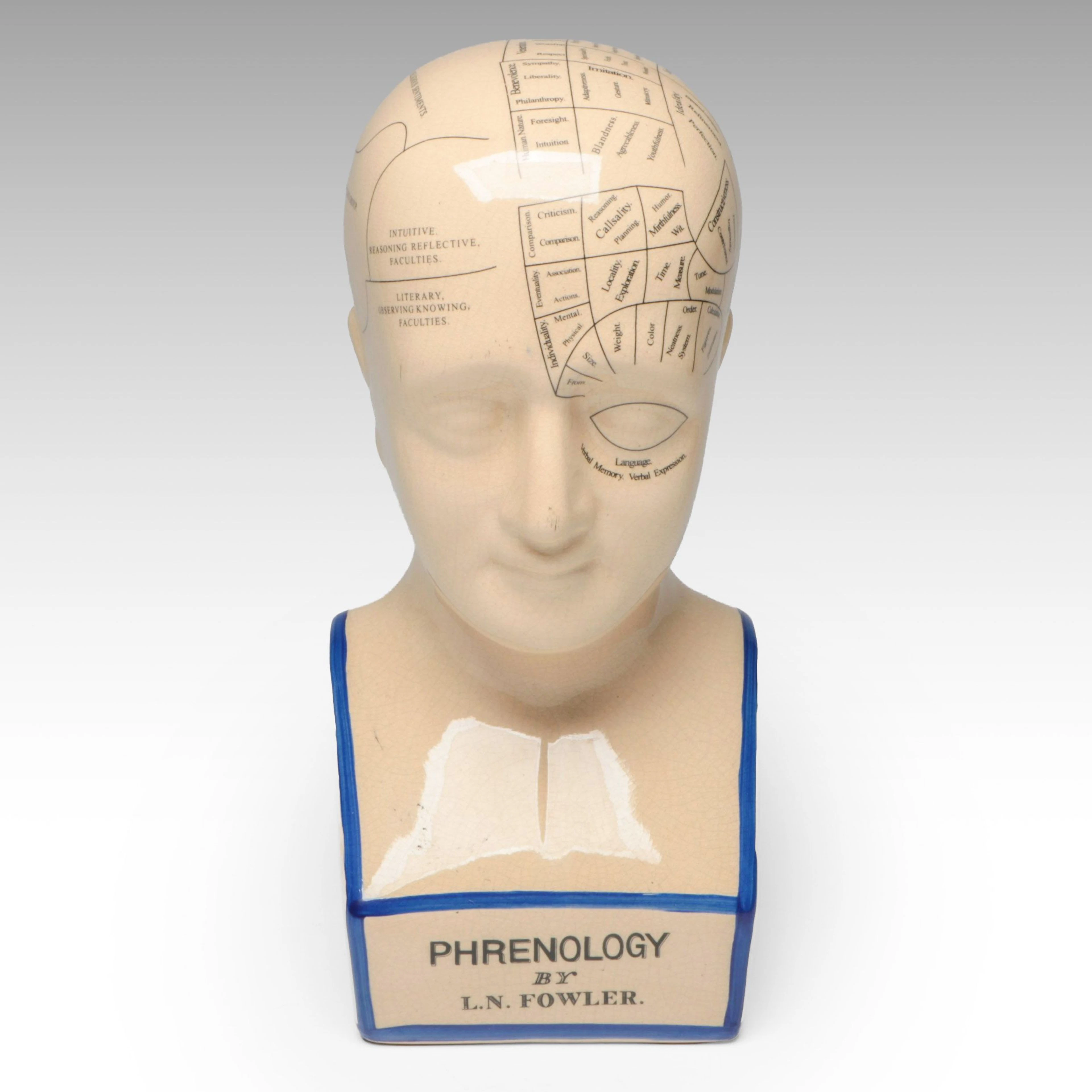 Phrenology By L. N. Fowler Ceramic Head