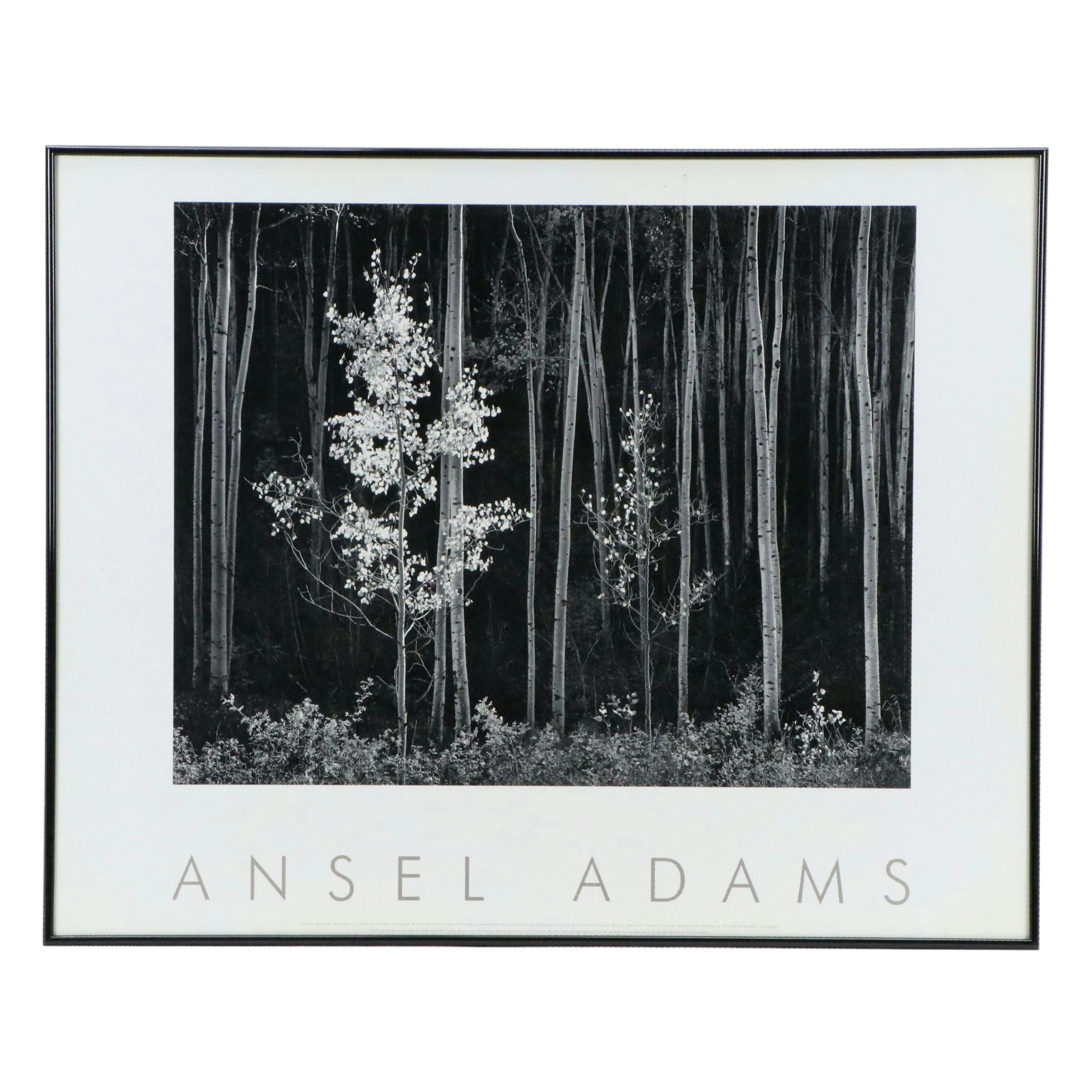 Offset Lithograph Poster After Ansel Adams "Northern New Mexico"