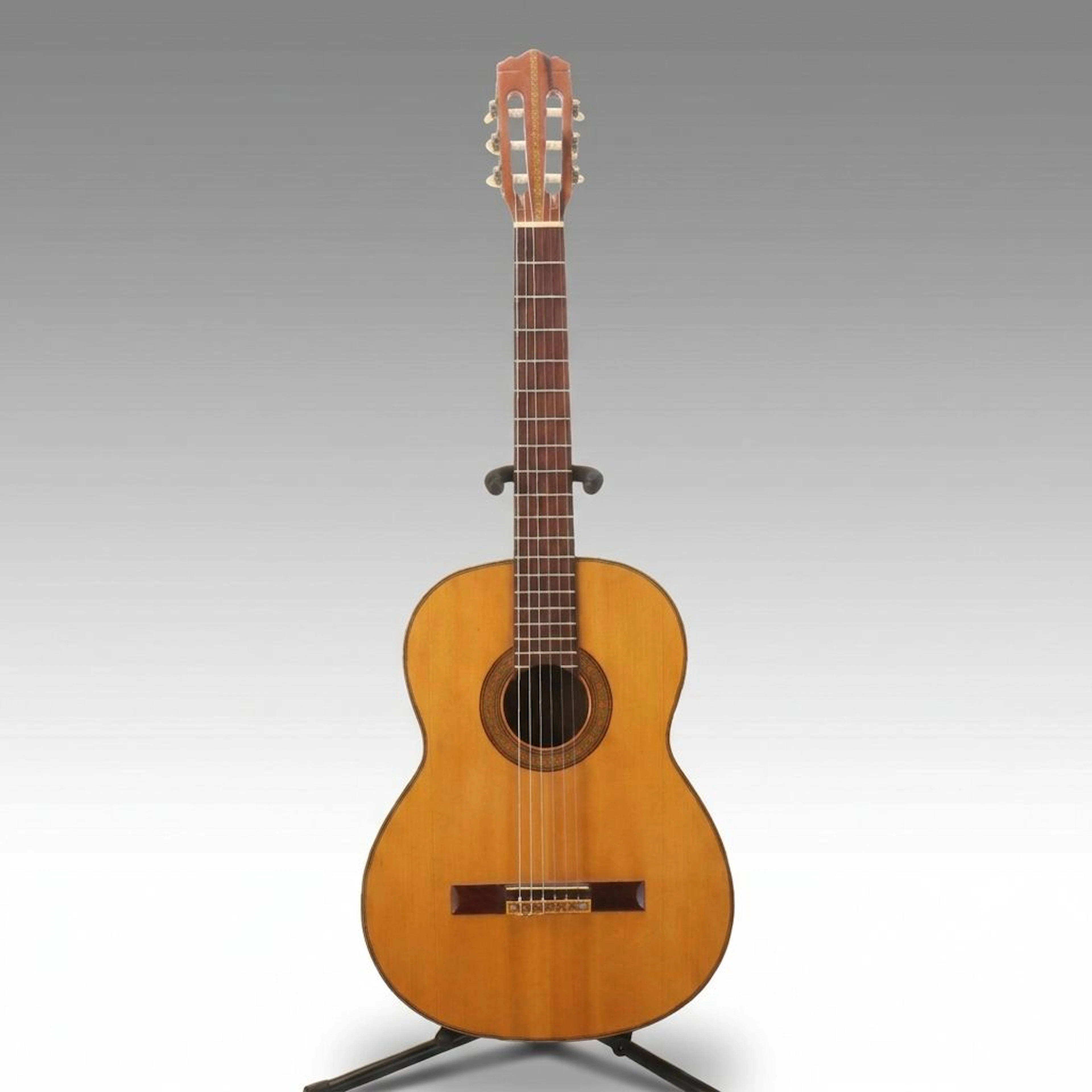 Epiphone Style Classical Acoustic Guitar
