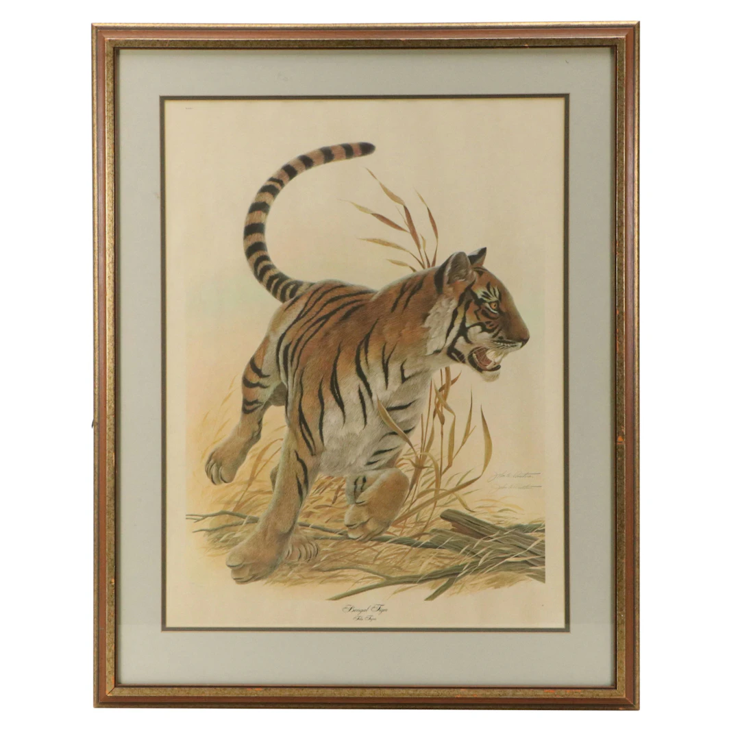 John A. Ruthven Offset Lithograph "Bengal Tiger"