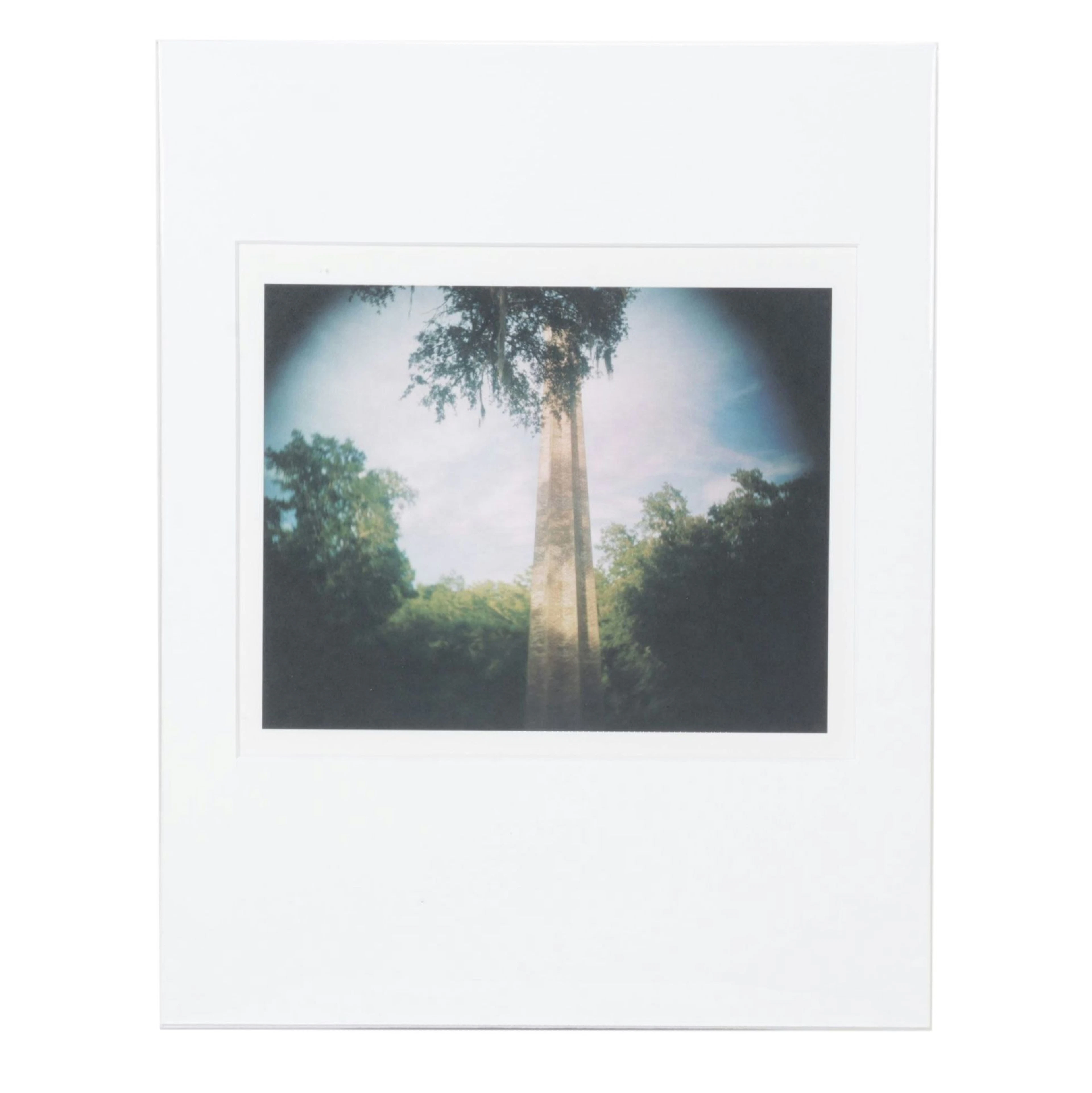 Sally Mann Offset Lithograph of Rice Chimney at Laurel Hill Plantation