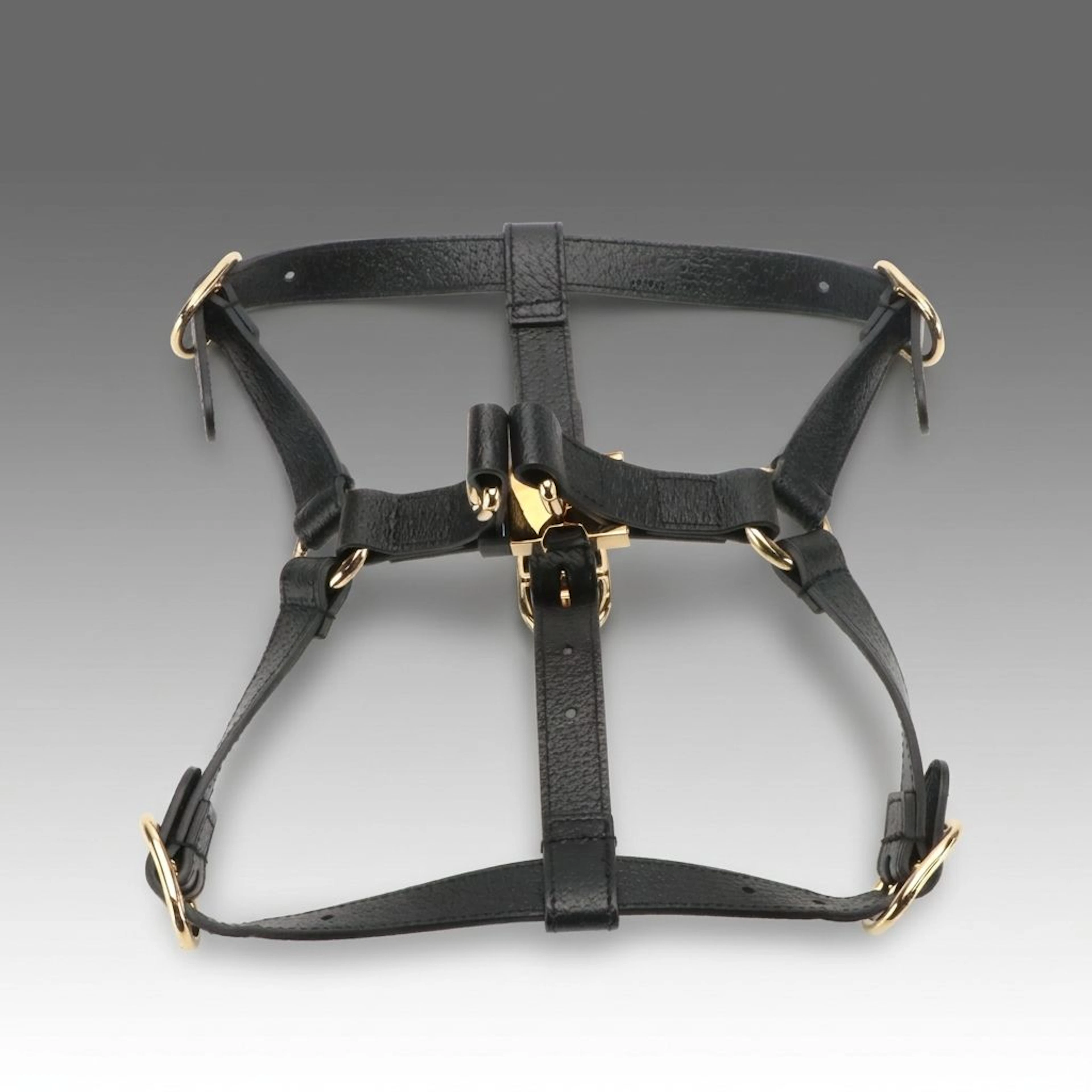 Gucci Demetra Medium Pet Harness in Black Leather, with Box