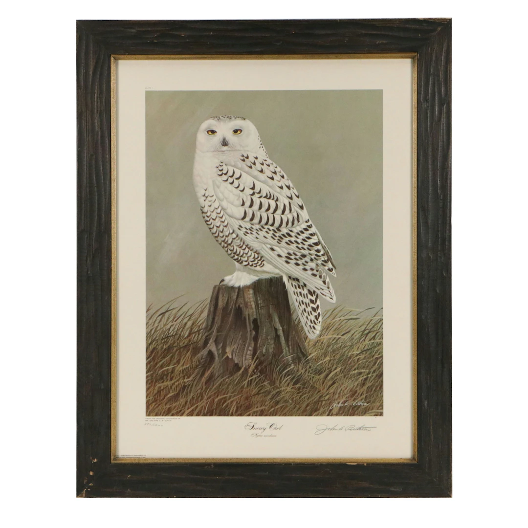 John A. Ruthven Offset Lithograph "Snowy Owl"