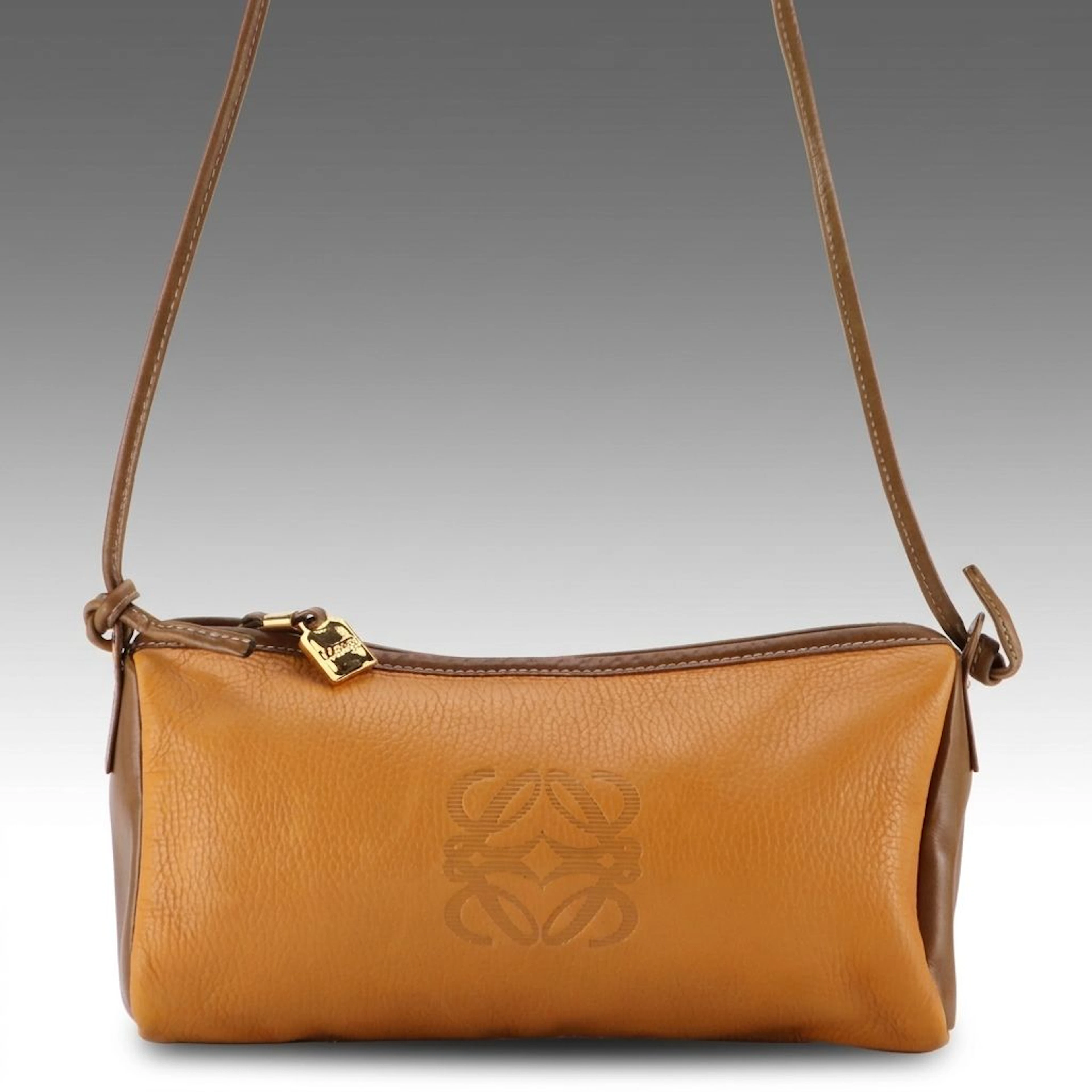 Loewe Anagram Embossed Bicolor Leather Zip-Top Shoulder Bag with Coin Pouch