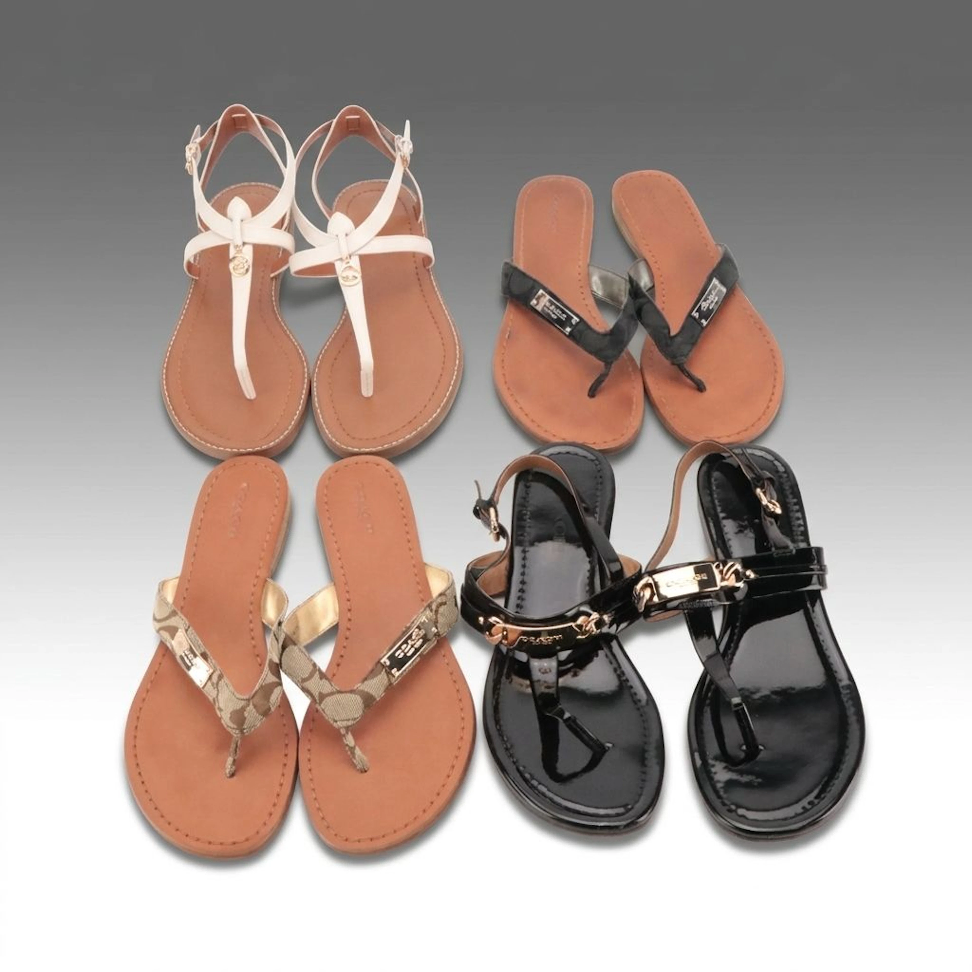 Coach Lydia, Caterine, and Sommer Flat Sandals with Box