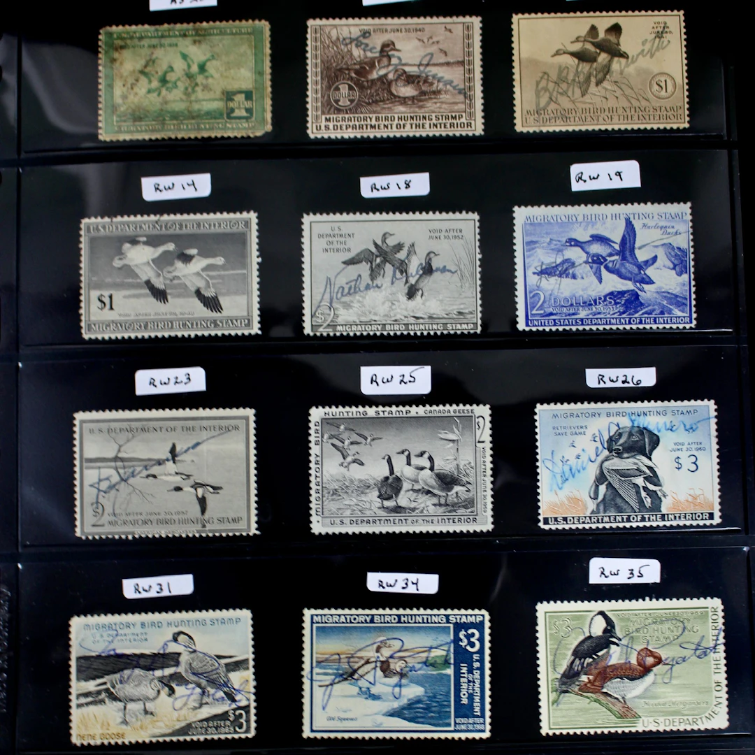 Fifteen Different U.S. Duck Stamps, RW4 to RW38